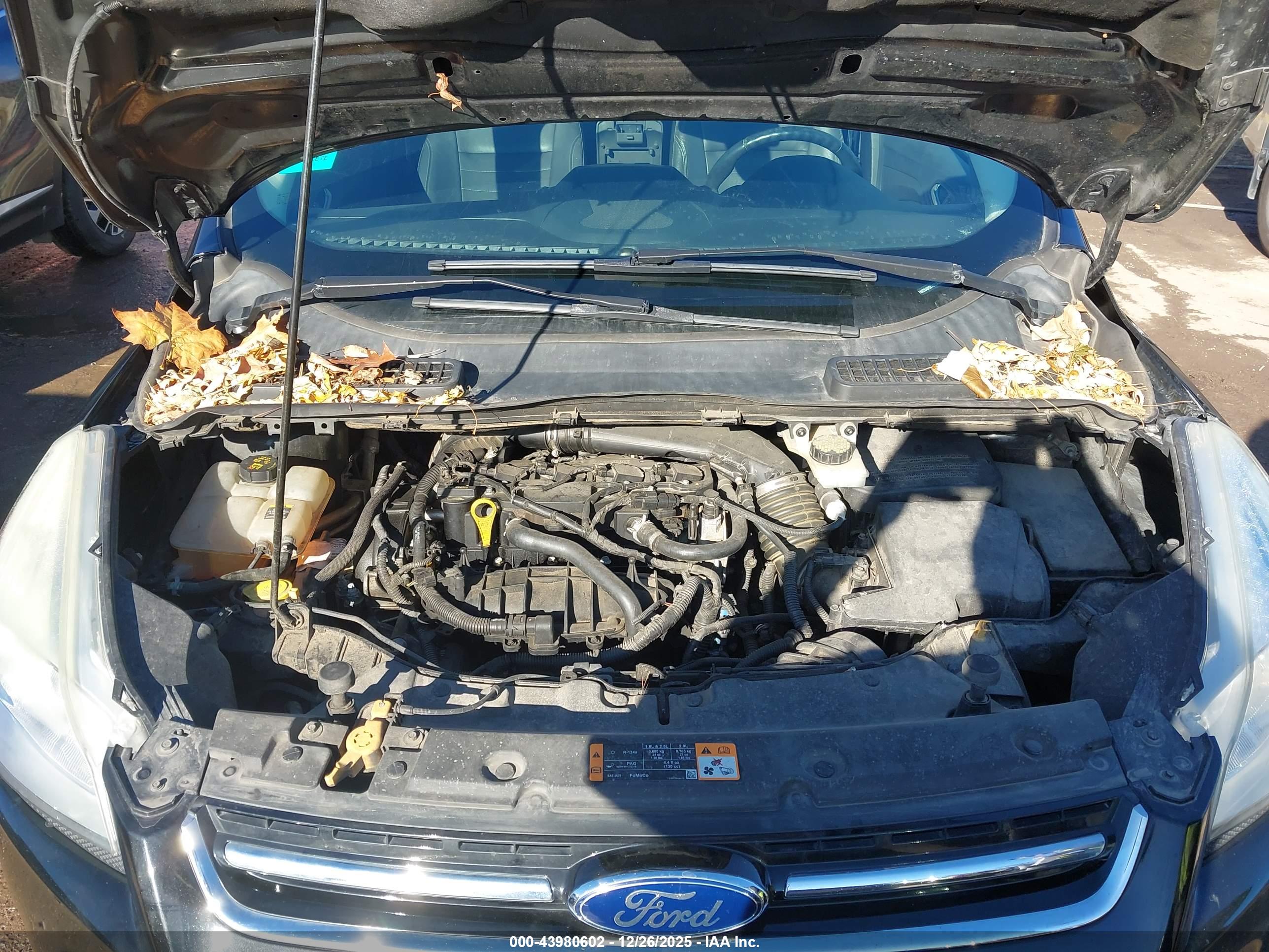 FORD ESCAPE image 10