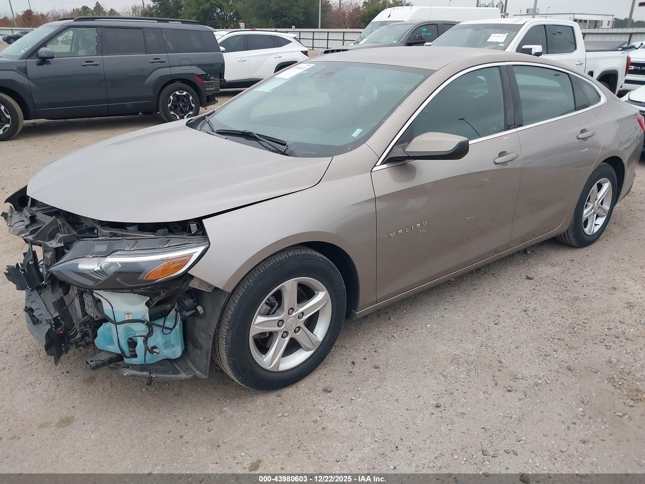 CHEVROLET MALIBU image 2