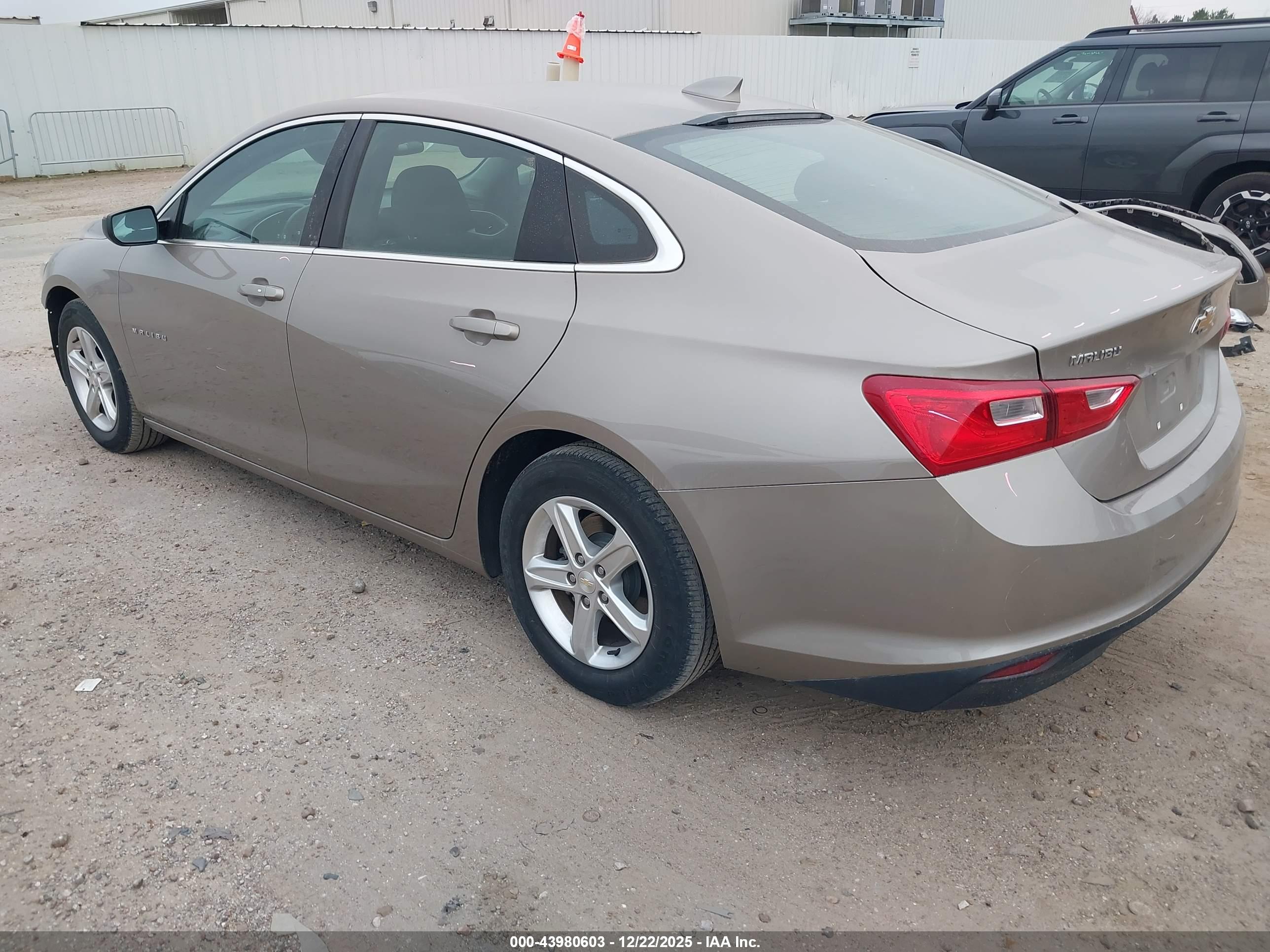 CHEVROLET MALIBU image 3
