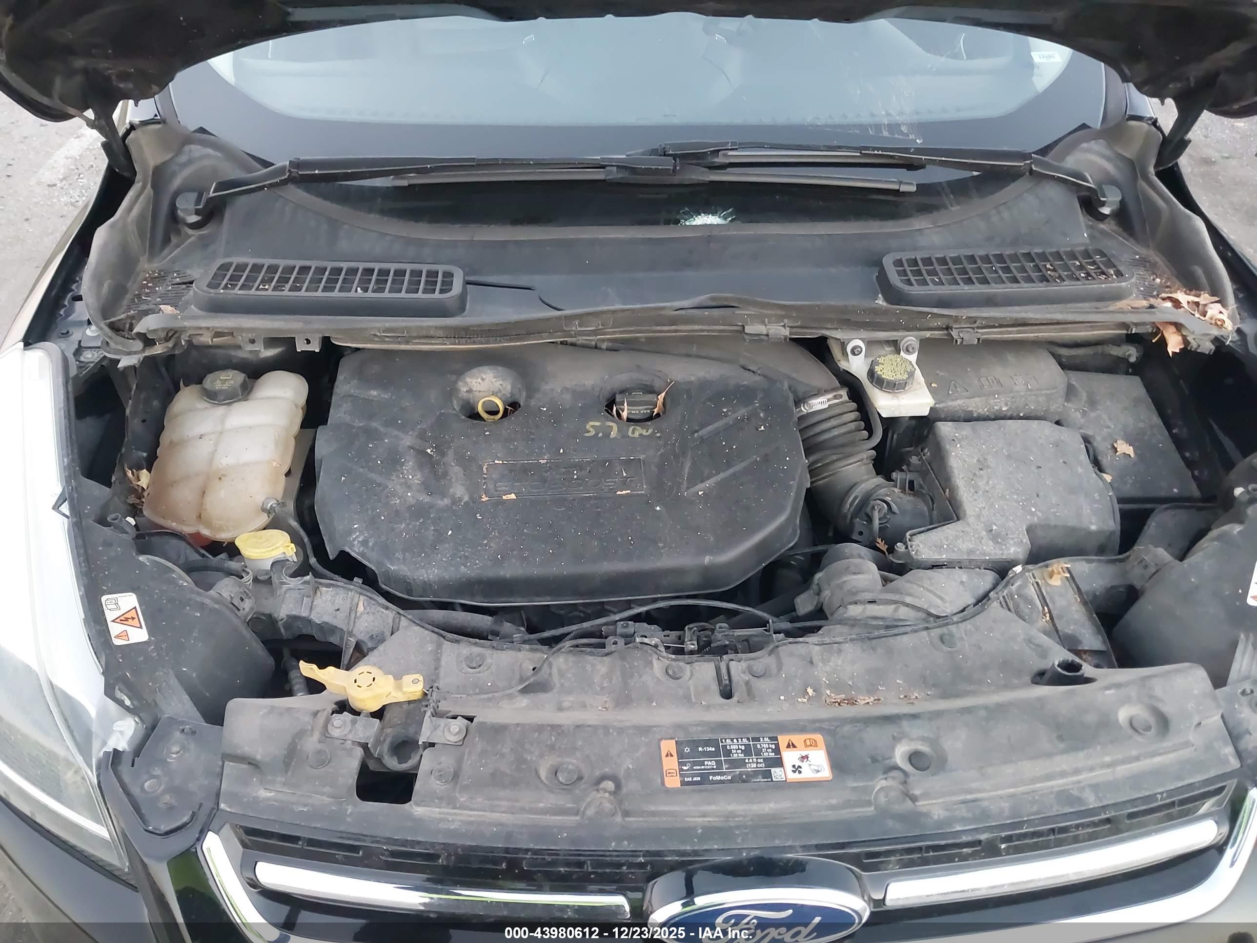 FORD ESCAPE image 10