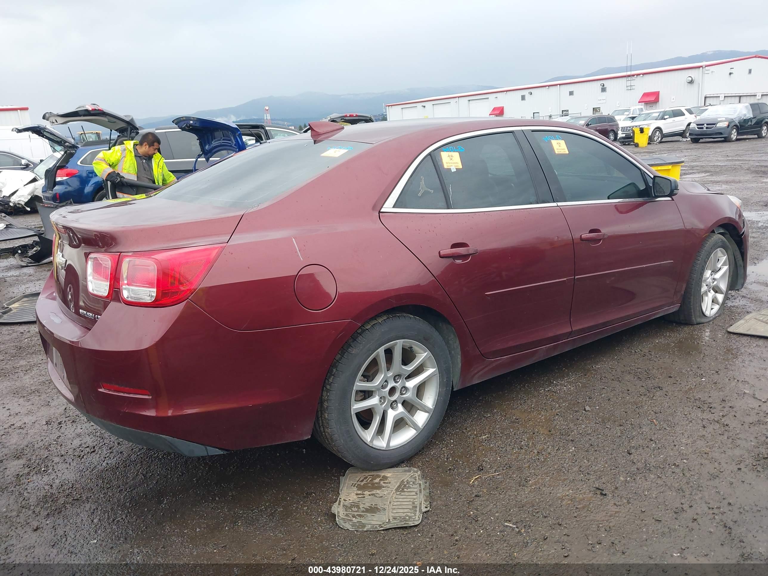CHEVROLET MALIBU image 4