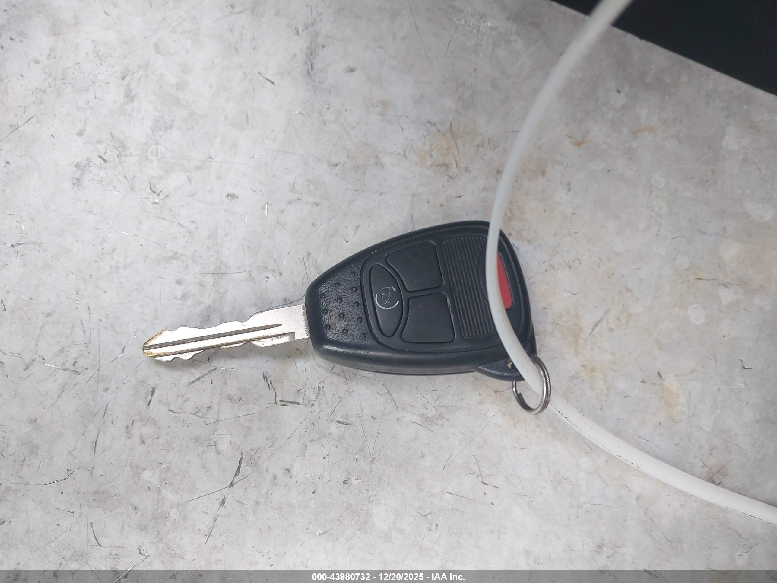 JEEP WRANGLER image 11