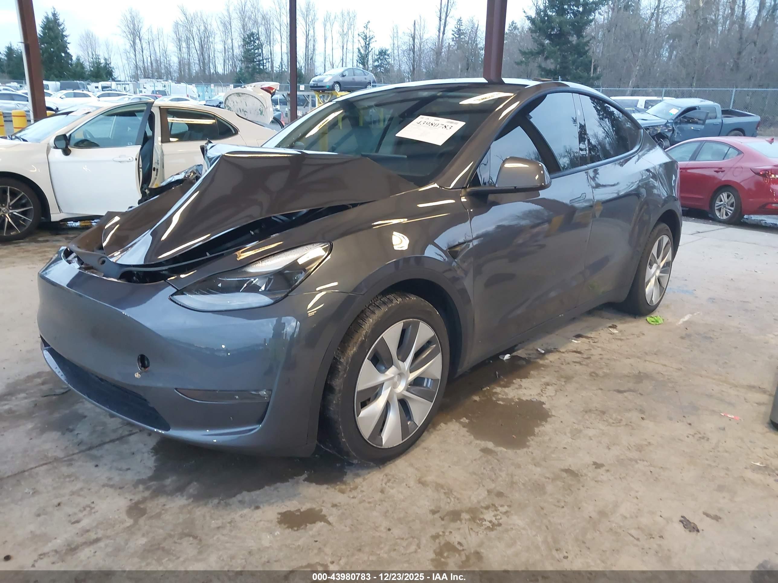 TESLA MODEL image 2
