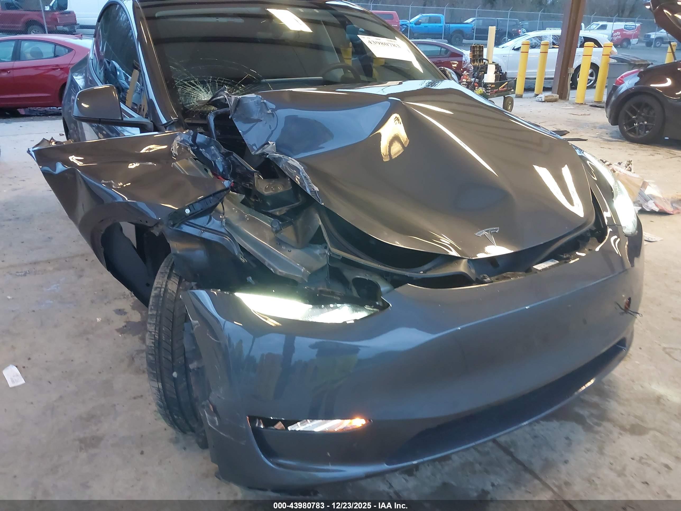 TESLA MODEL image 6