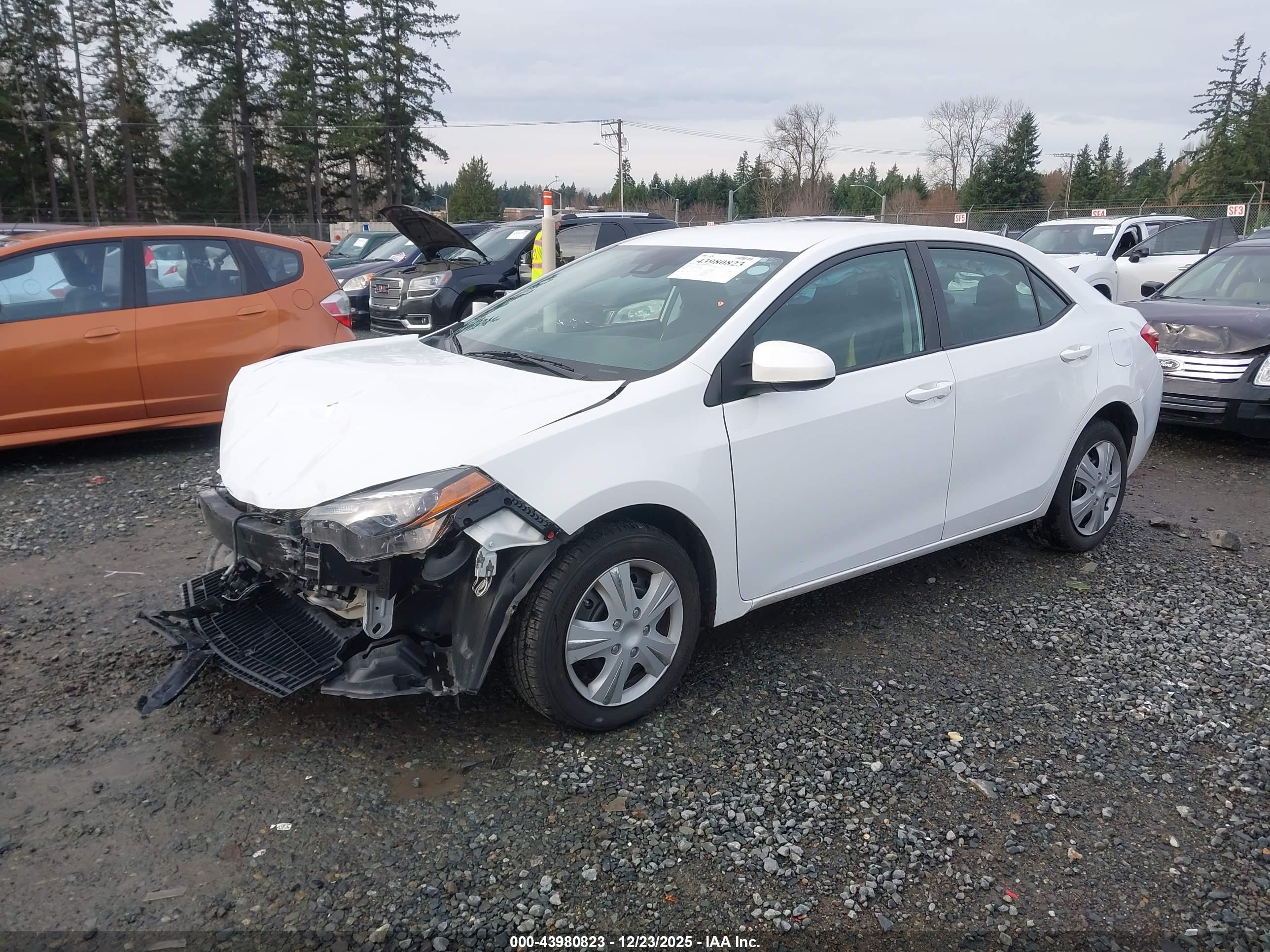 TOYOTA COROLLA image 2