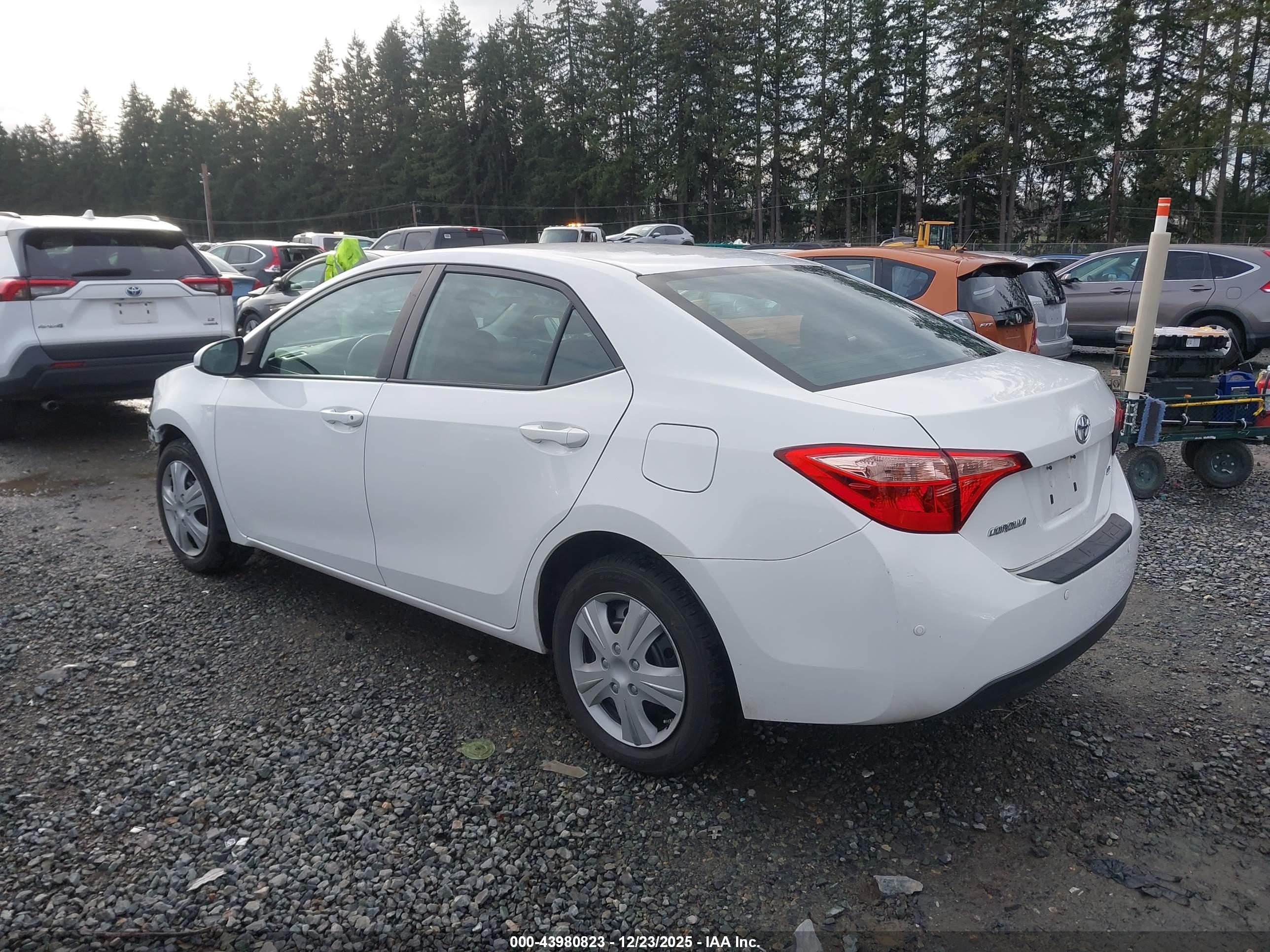 TOYOTA COROLLA image 3