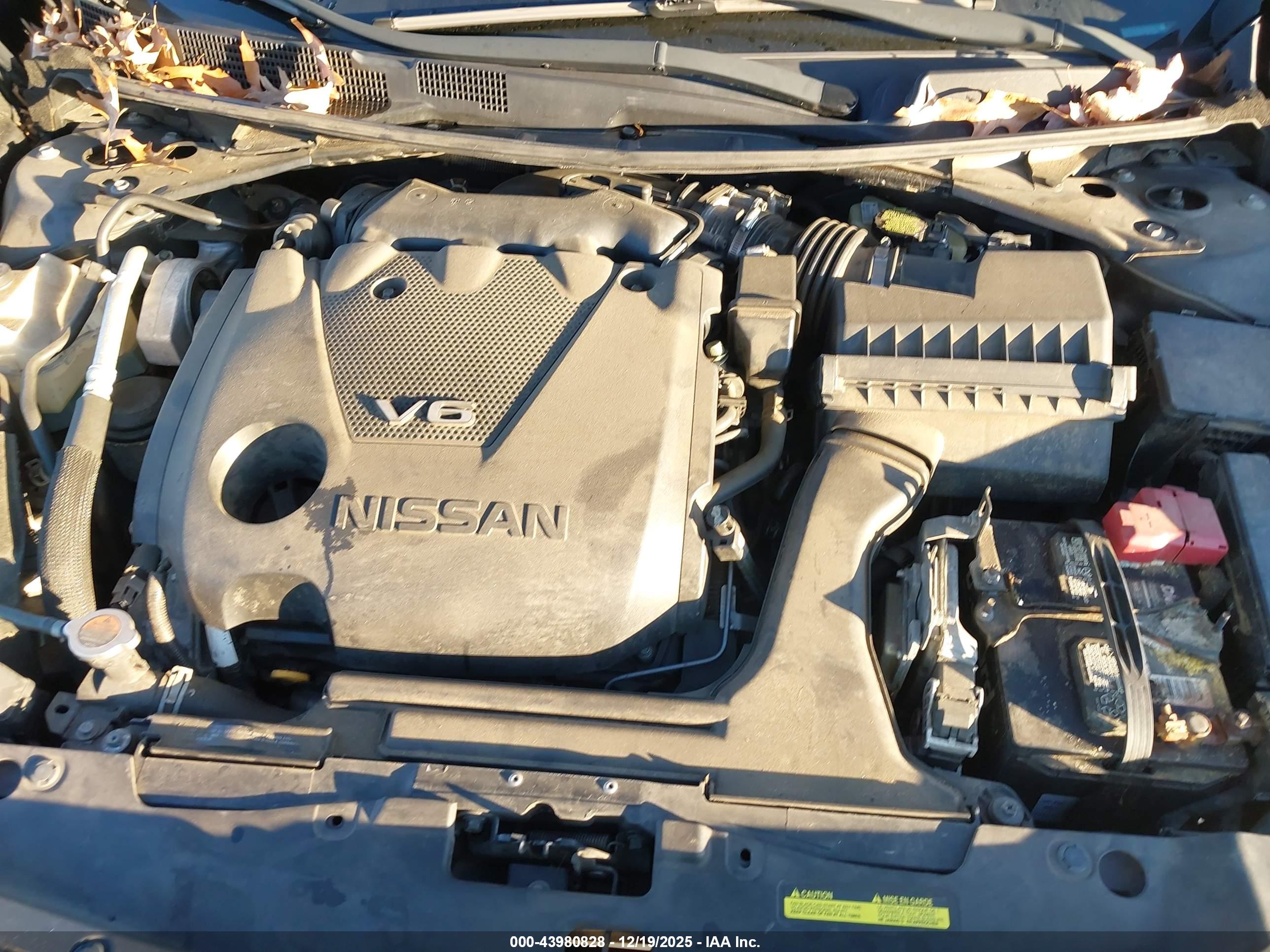 NISSAN MAXIMA image 10