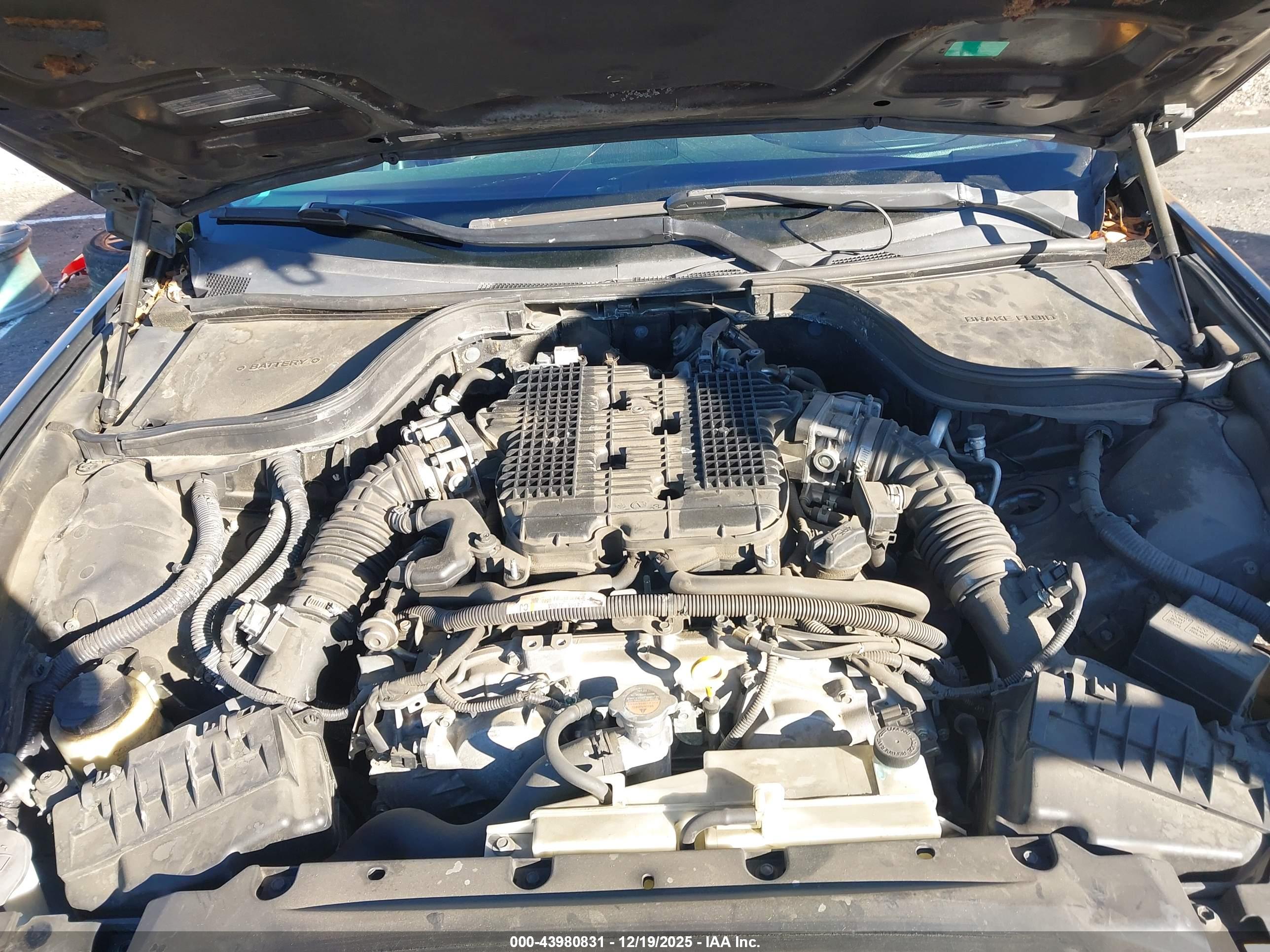 INFINITI IPL image 10