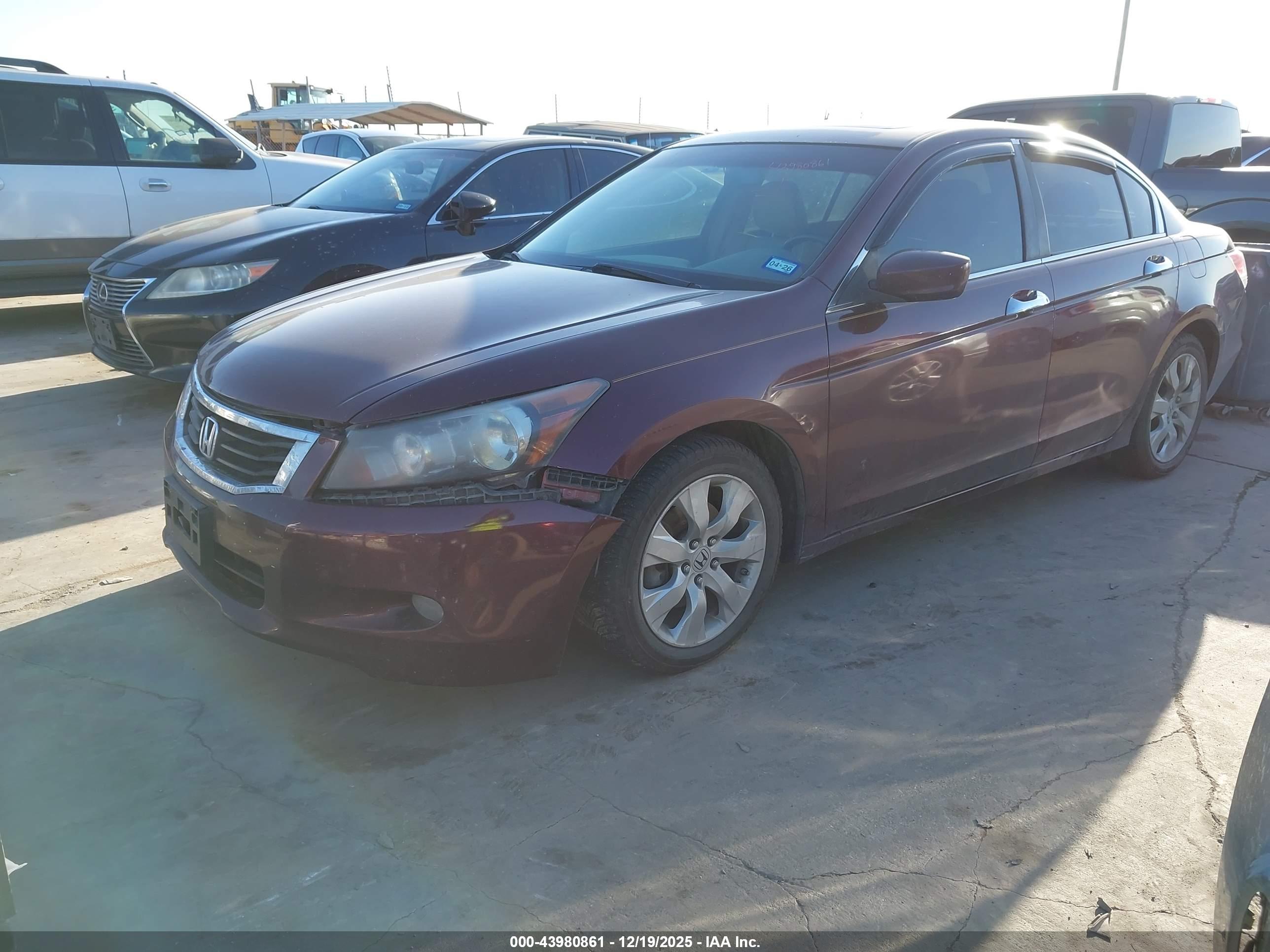 HONDA ACCORD image 2