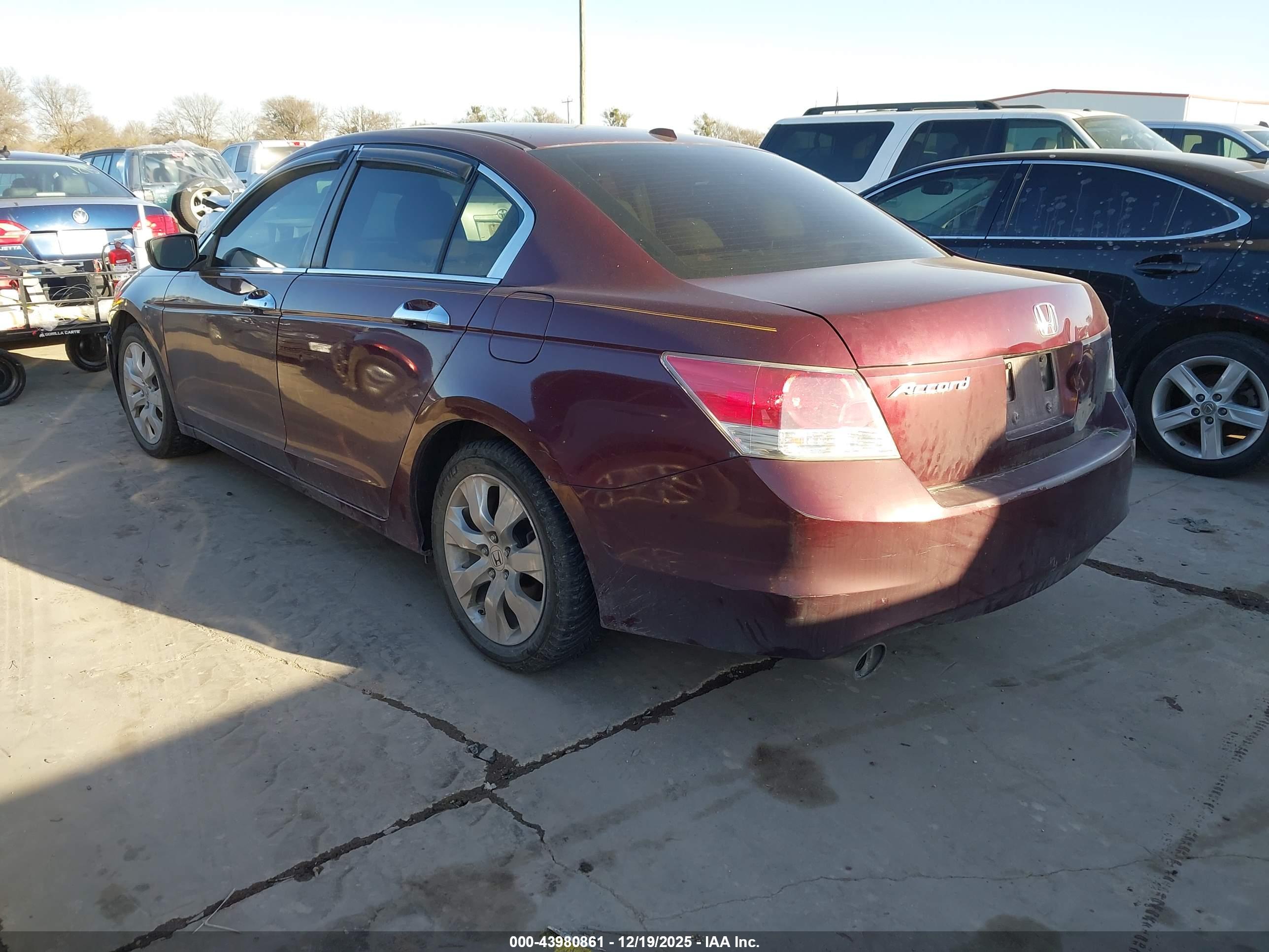 HONDA ACCORD image 3