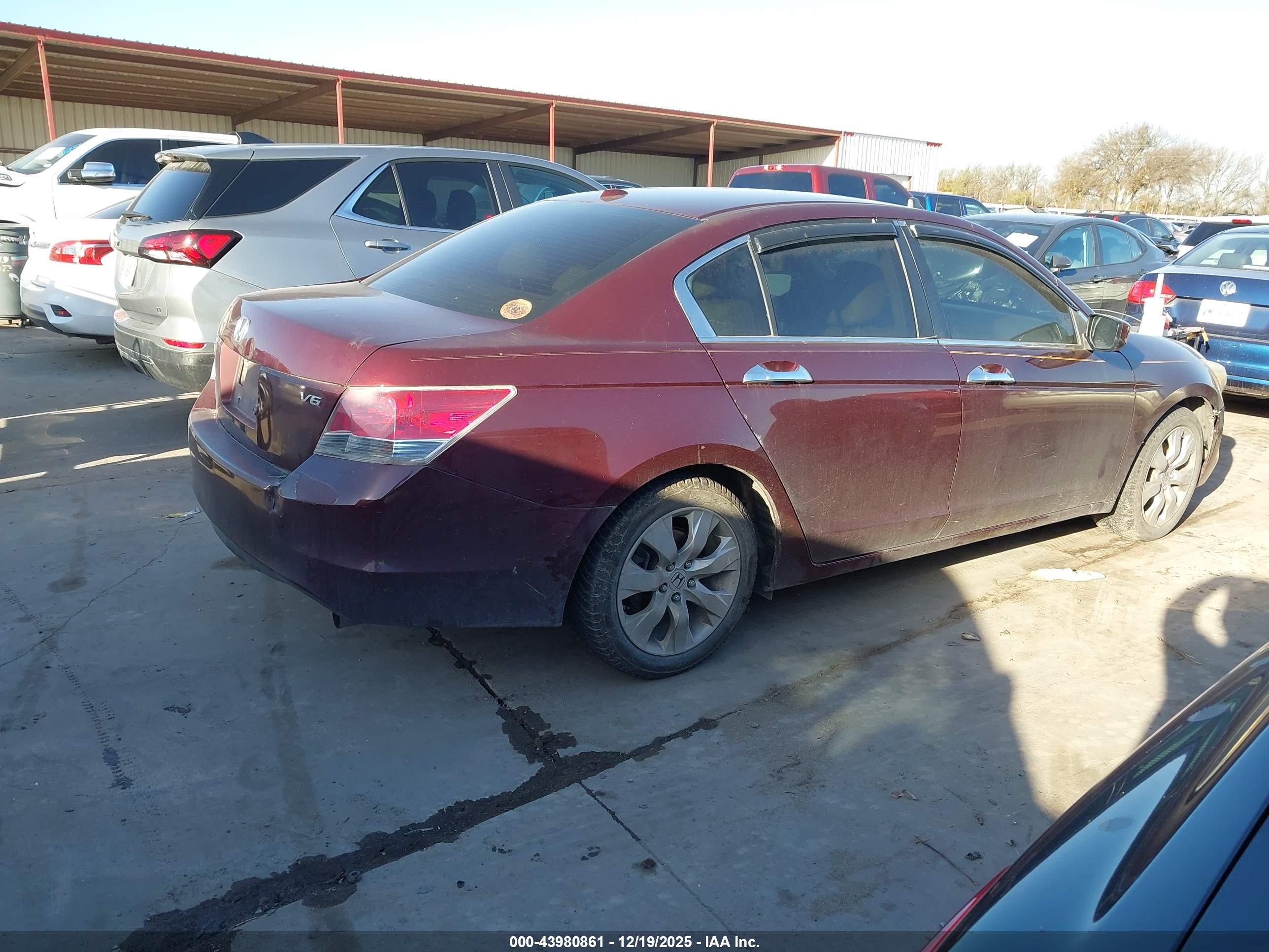 HONDA ACCORD image 4