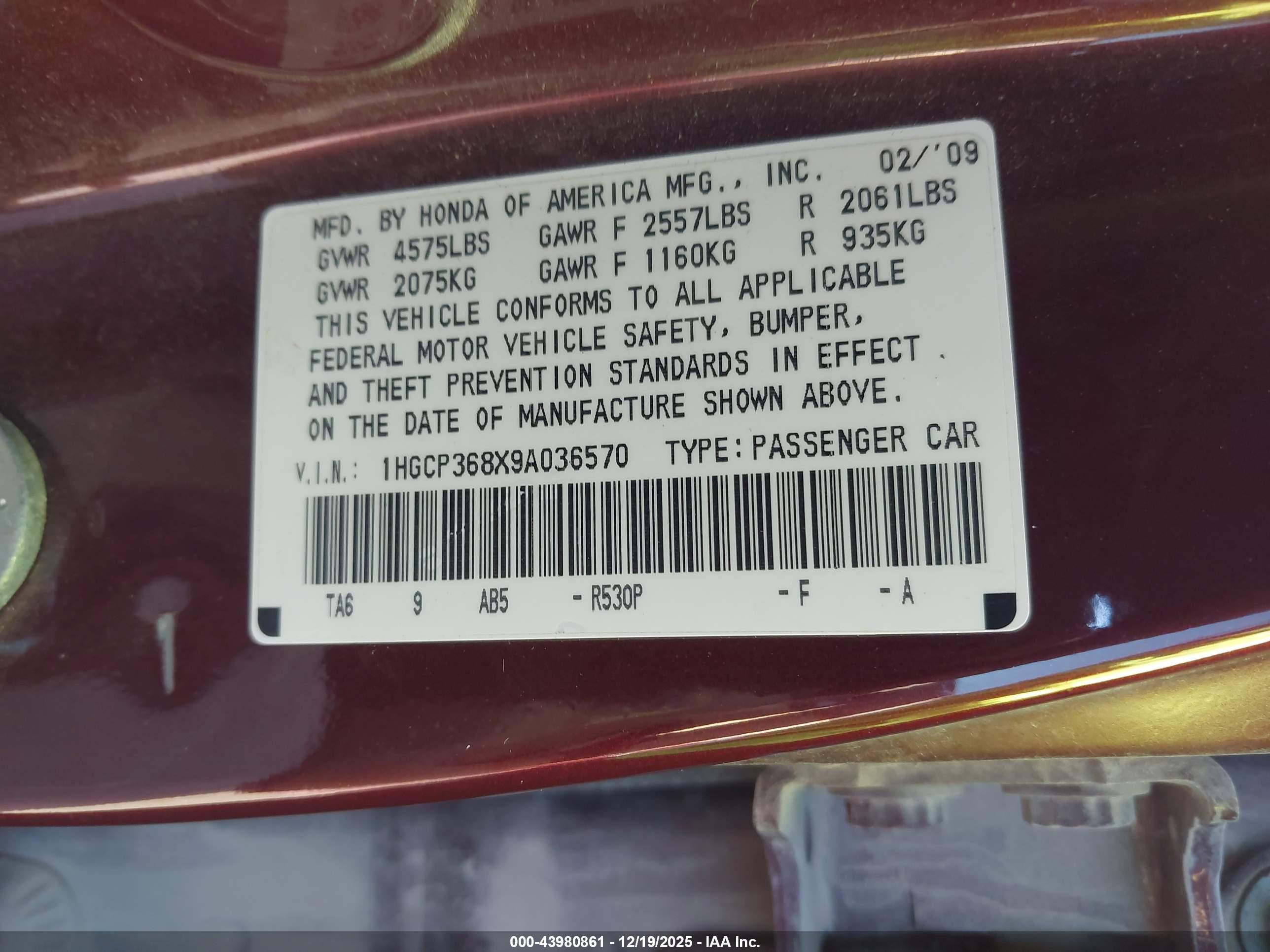 HONDA ACCORD image 9