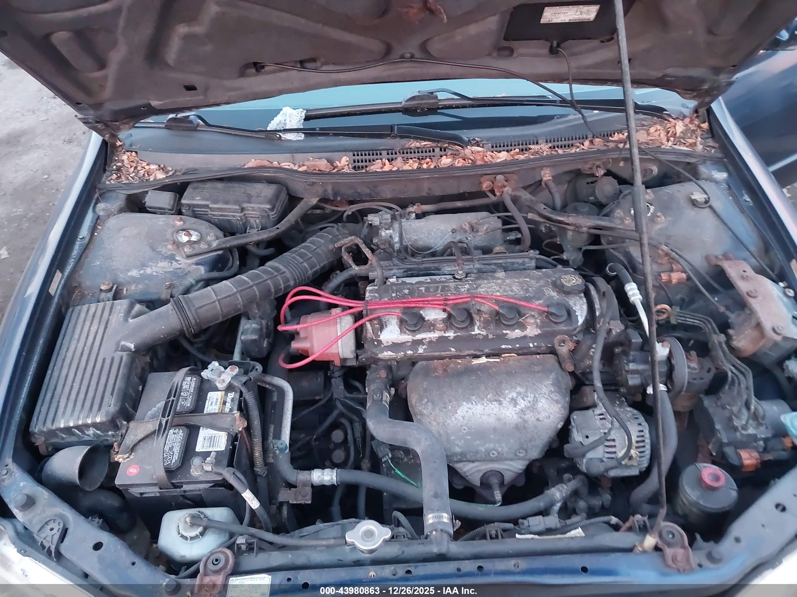 HONDA ACCORD image 10