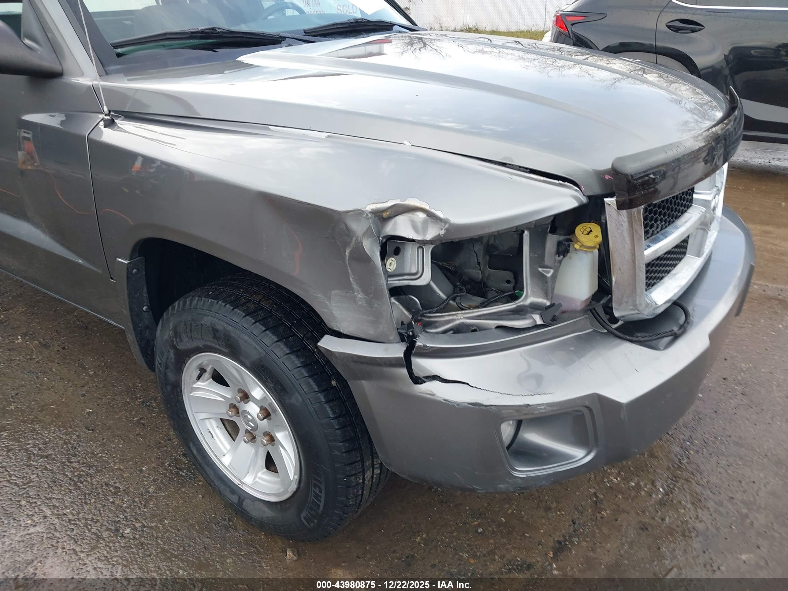 RAM DAKOTA image 6