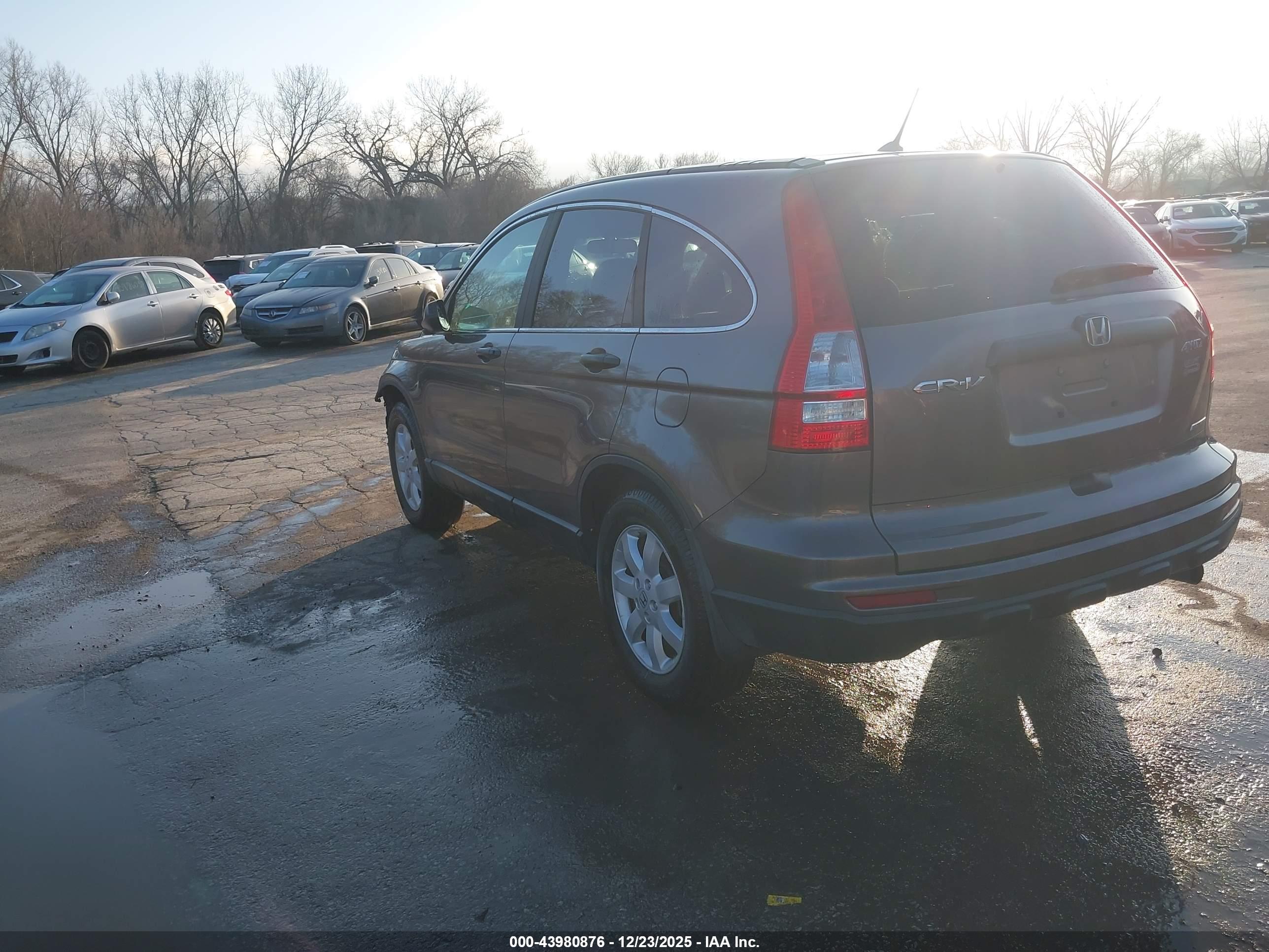HONDA CR-V image 3