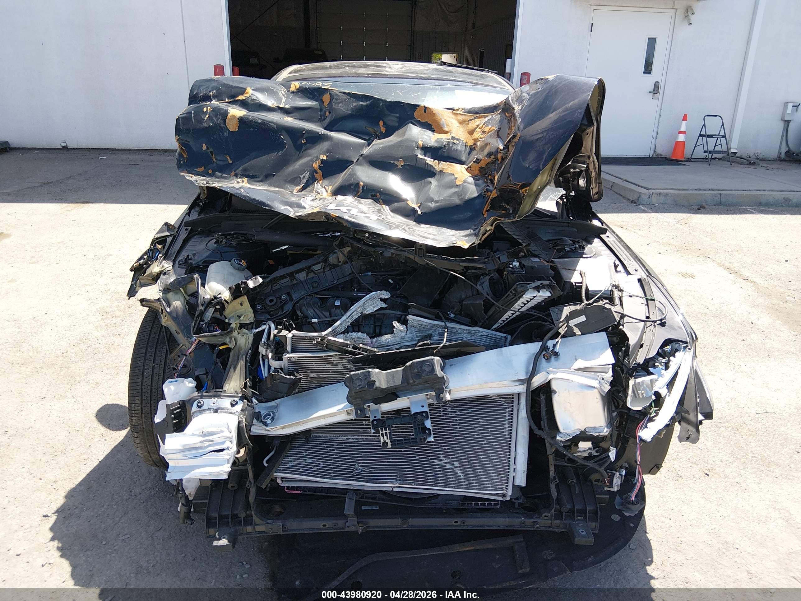KIA K5 image 6