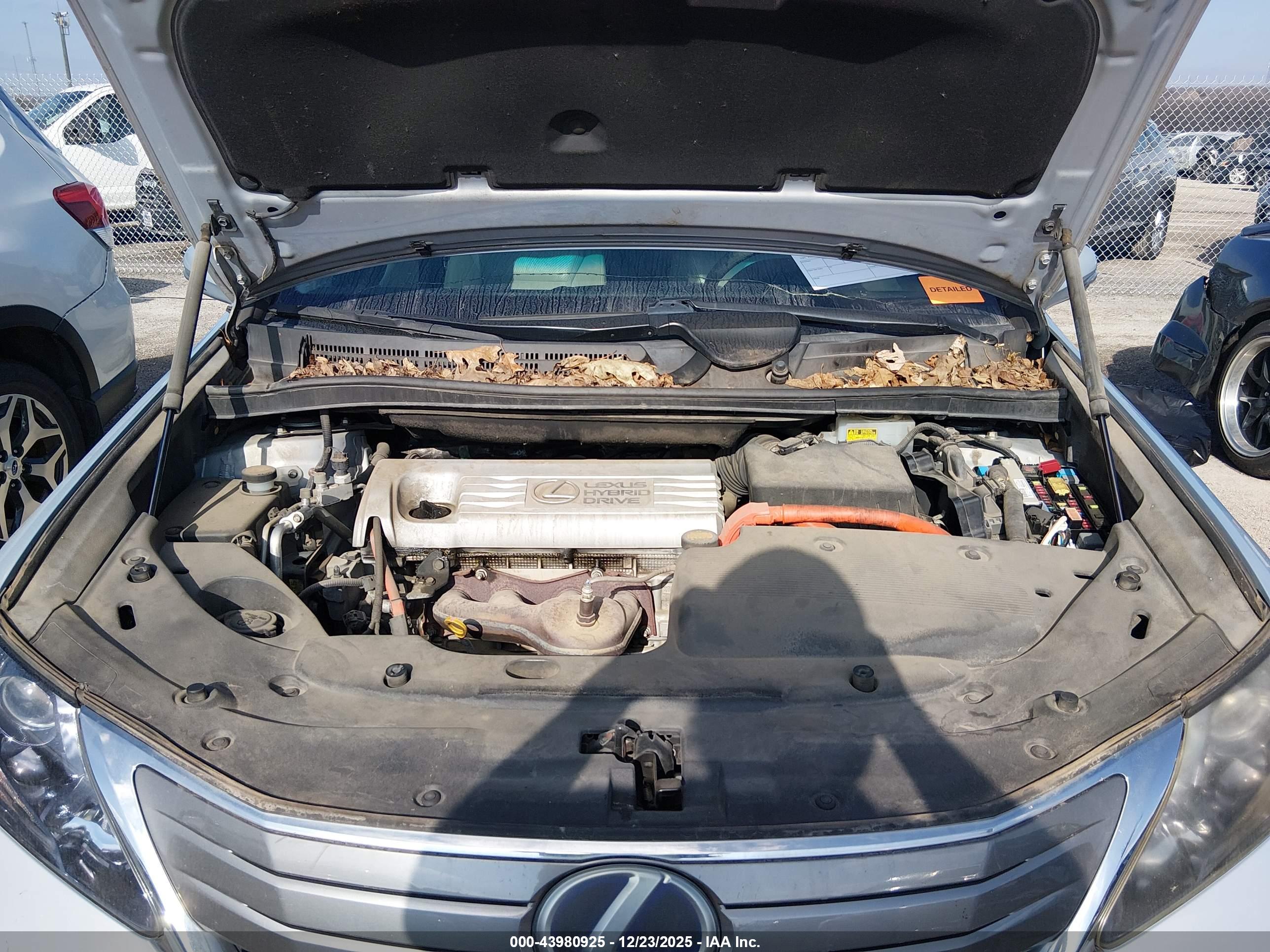 LEXUS HS image 10