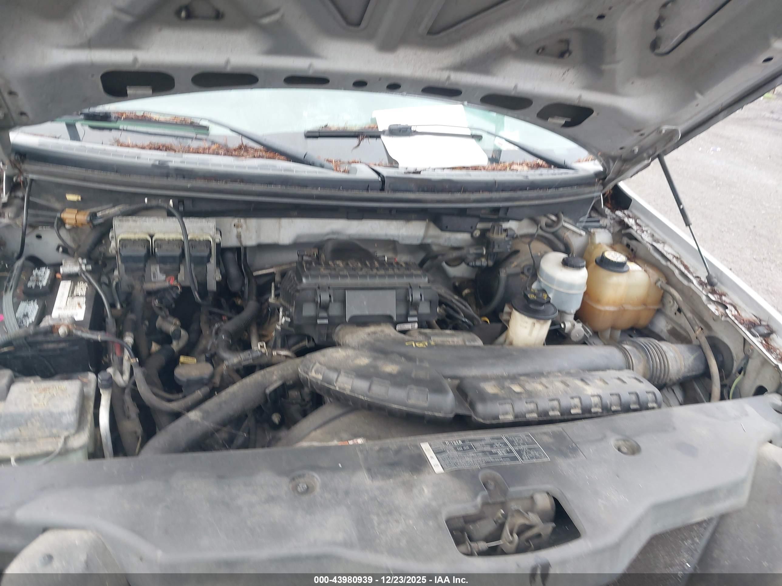 FORD F-150 image 10