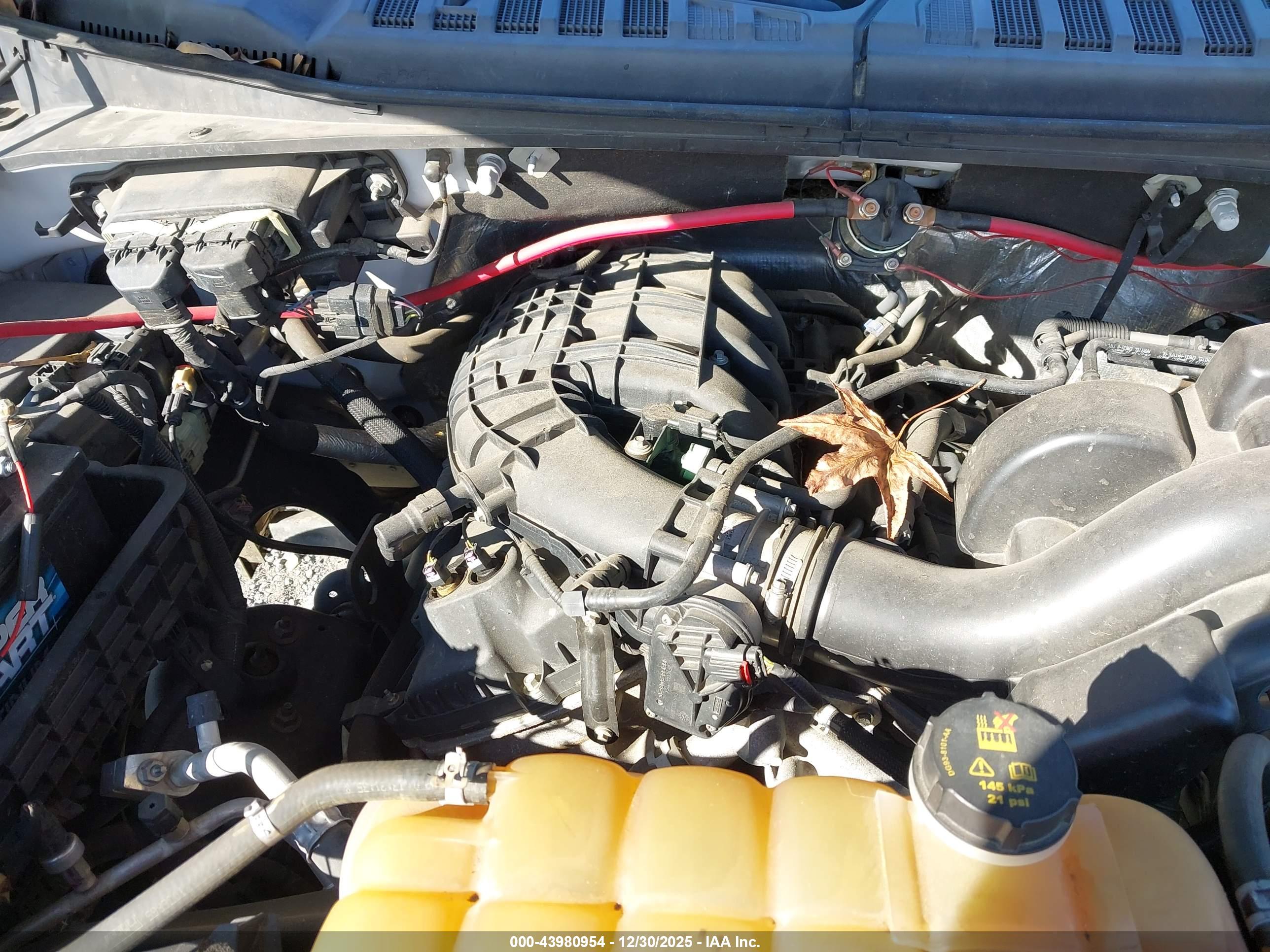 FORD F-150 image 10