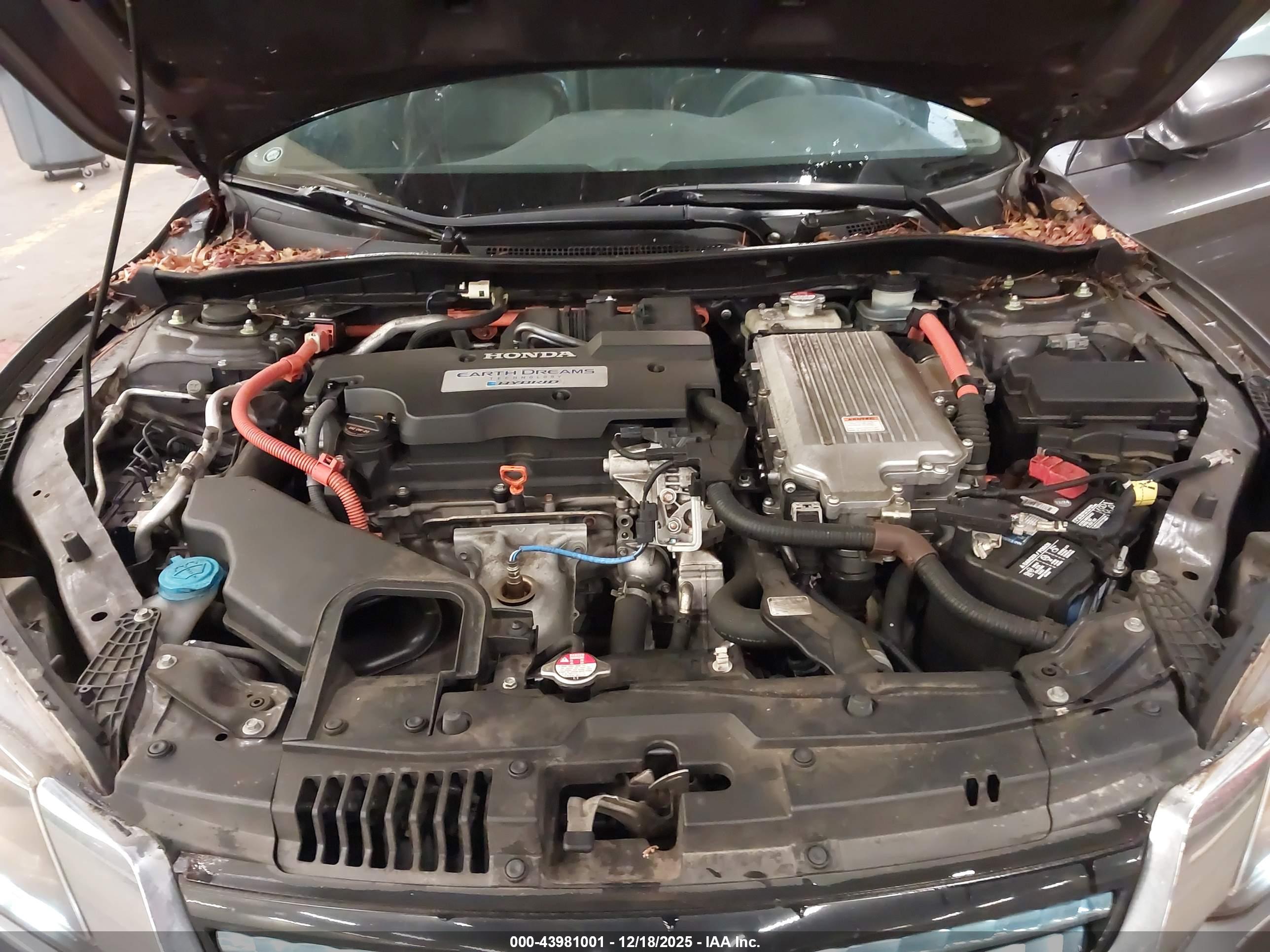 HONDA ACCORD image 10