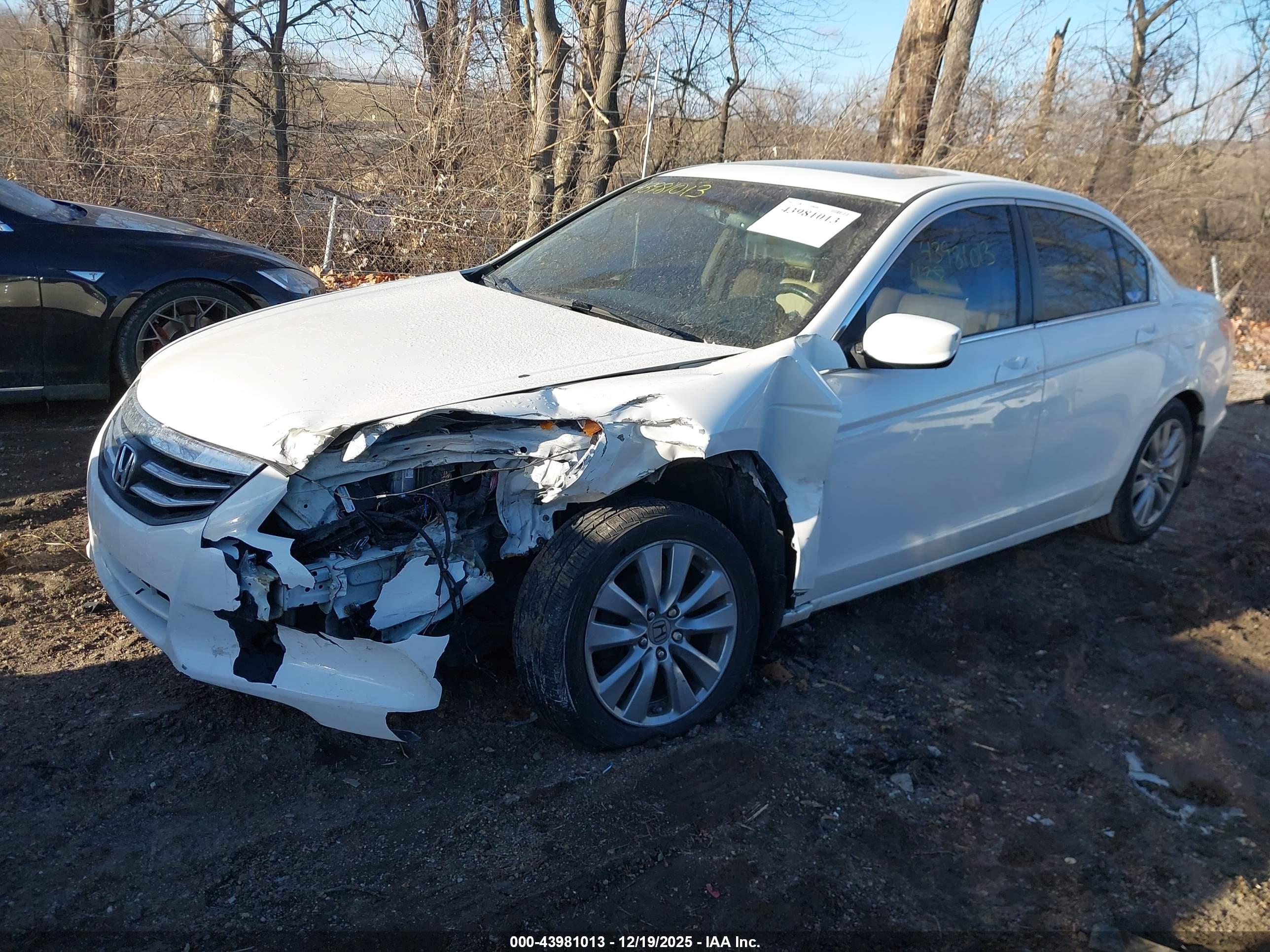 HONDA ACCORD image 6