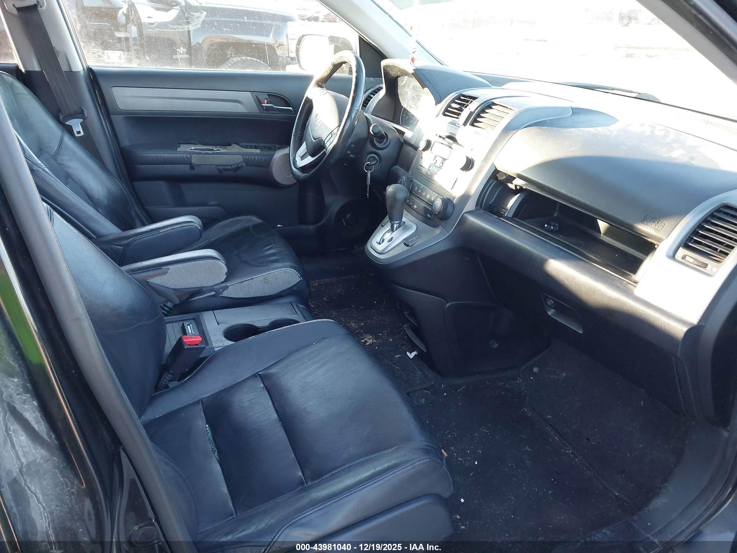 HONDA CR-V image 5