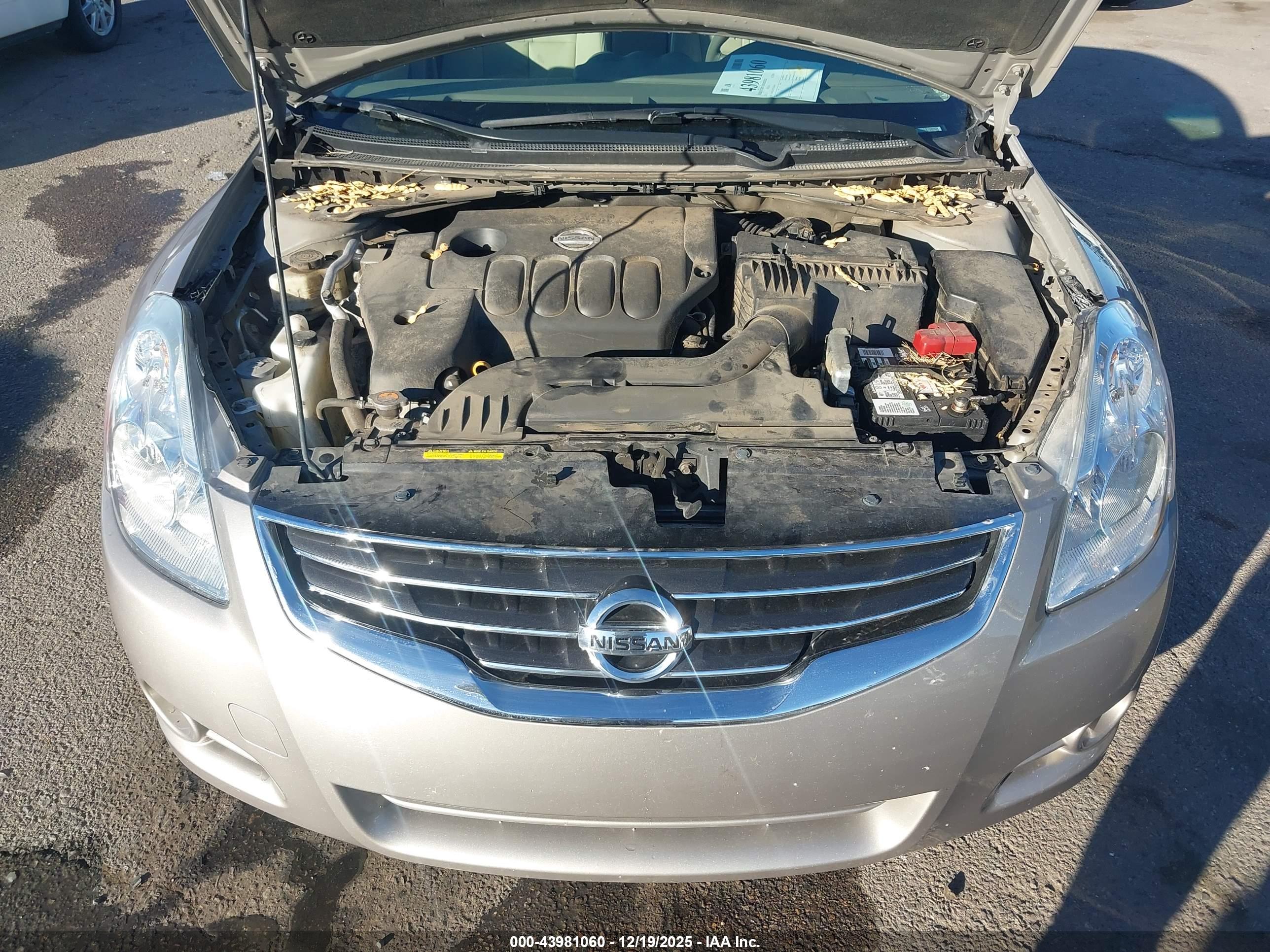 NISSAN ALTIMA image 10