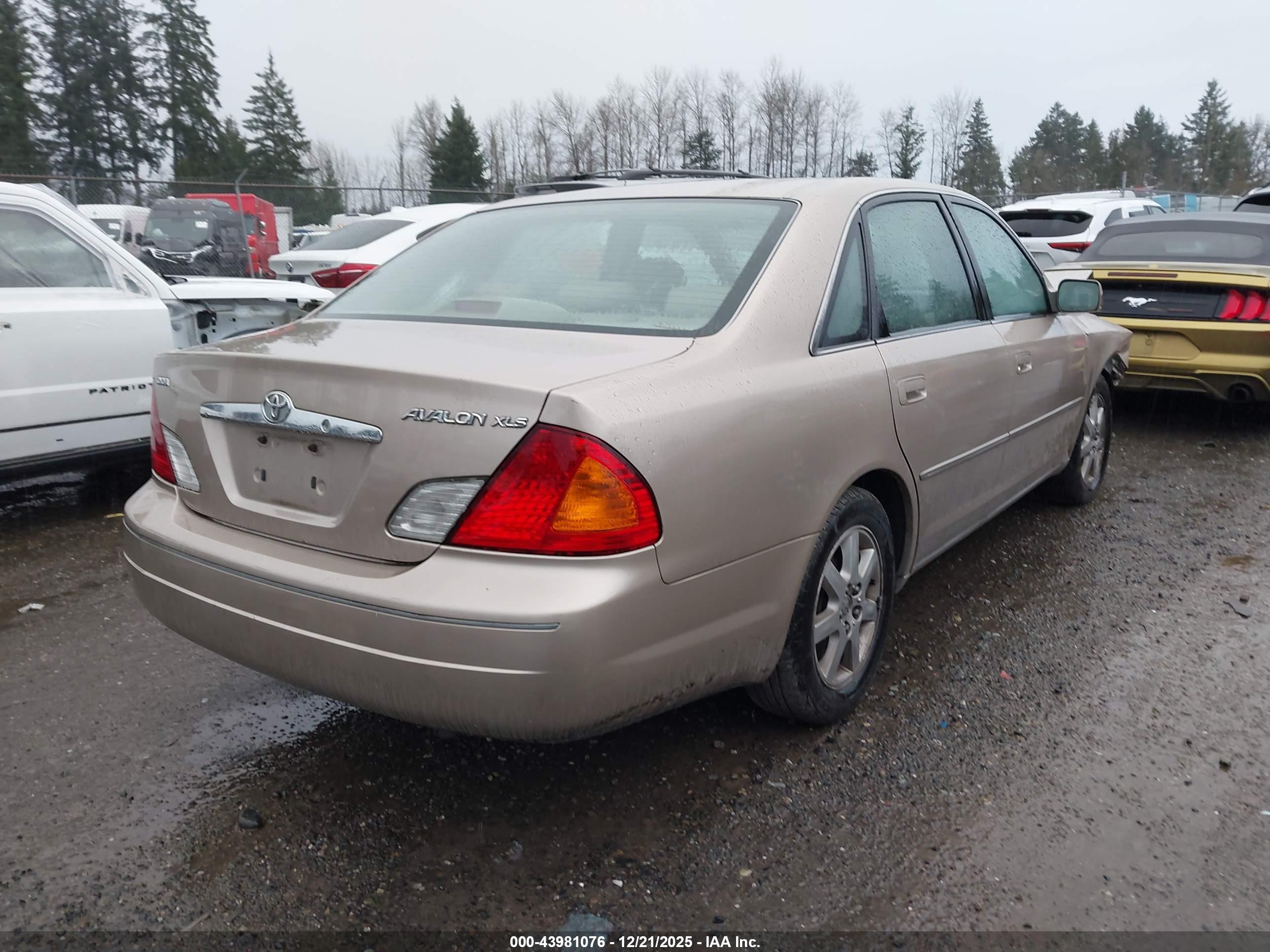 TOYOTA AVALON image 4