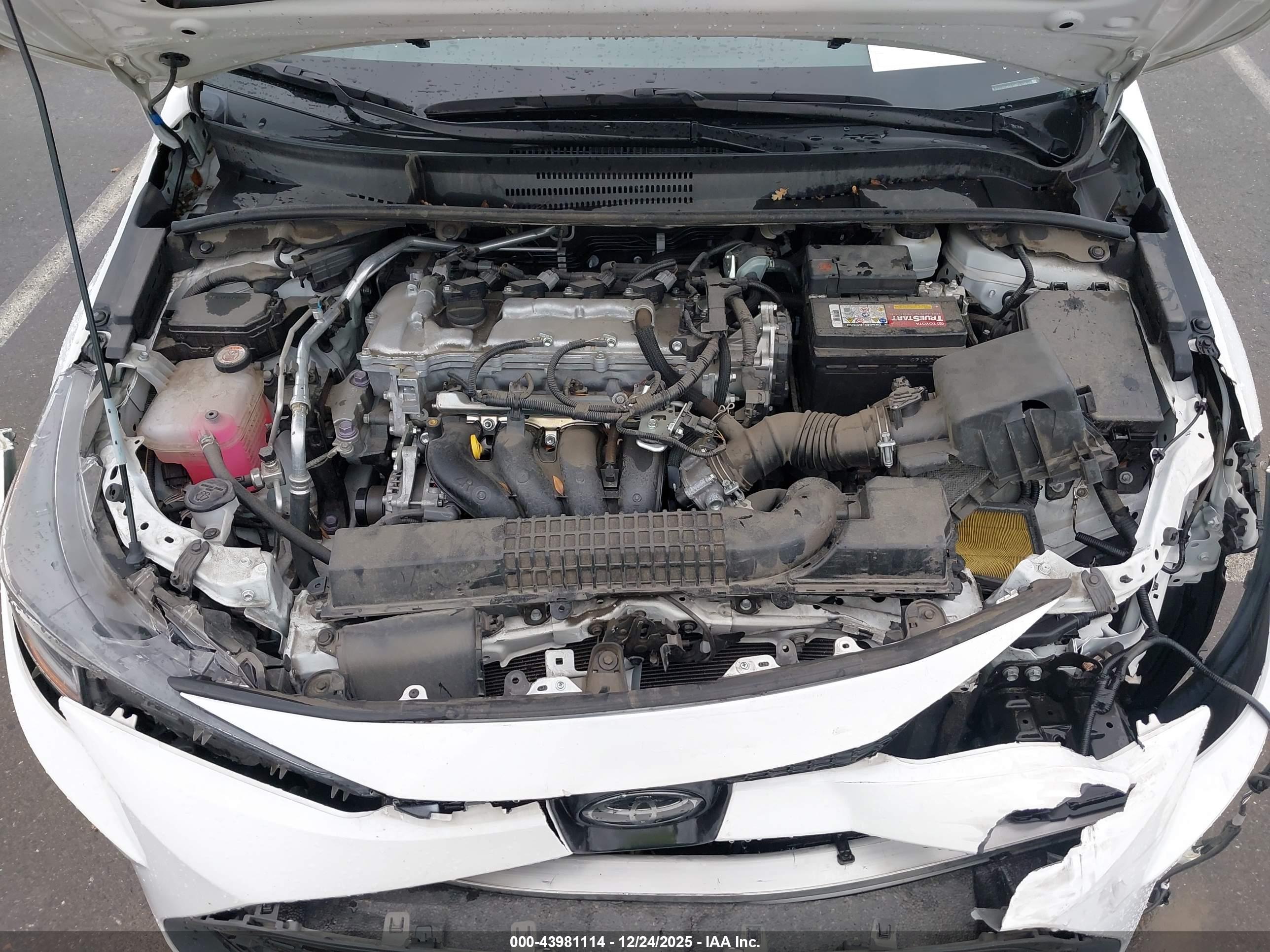 TOYOTA COROLLA image 10