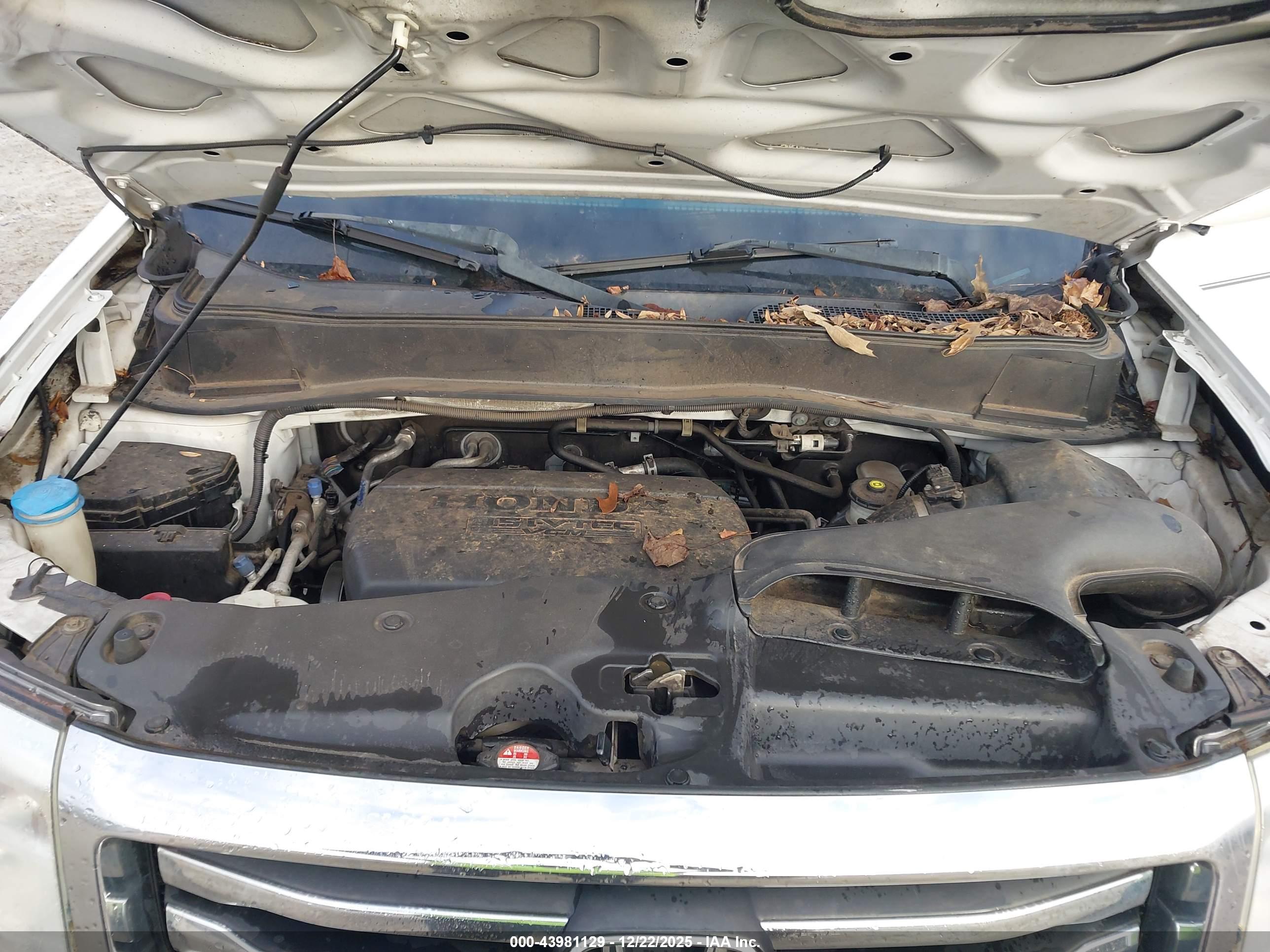 HONDA PILOT image 10
