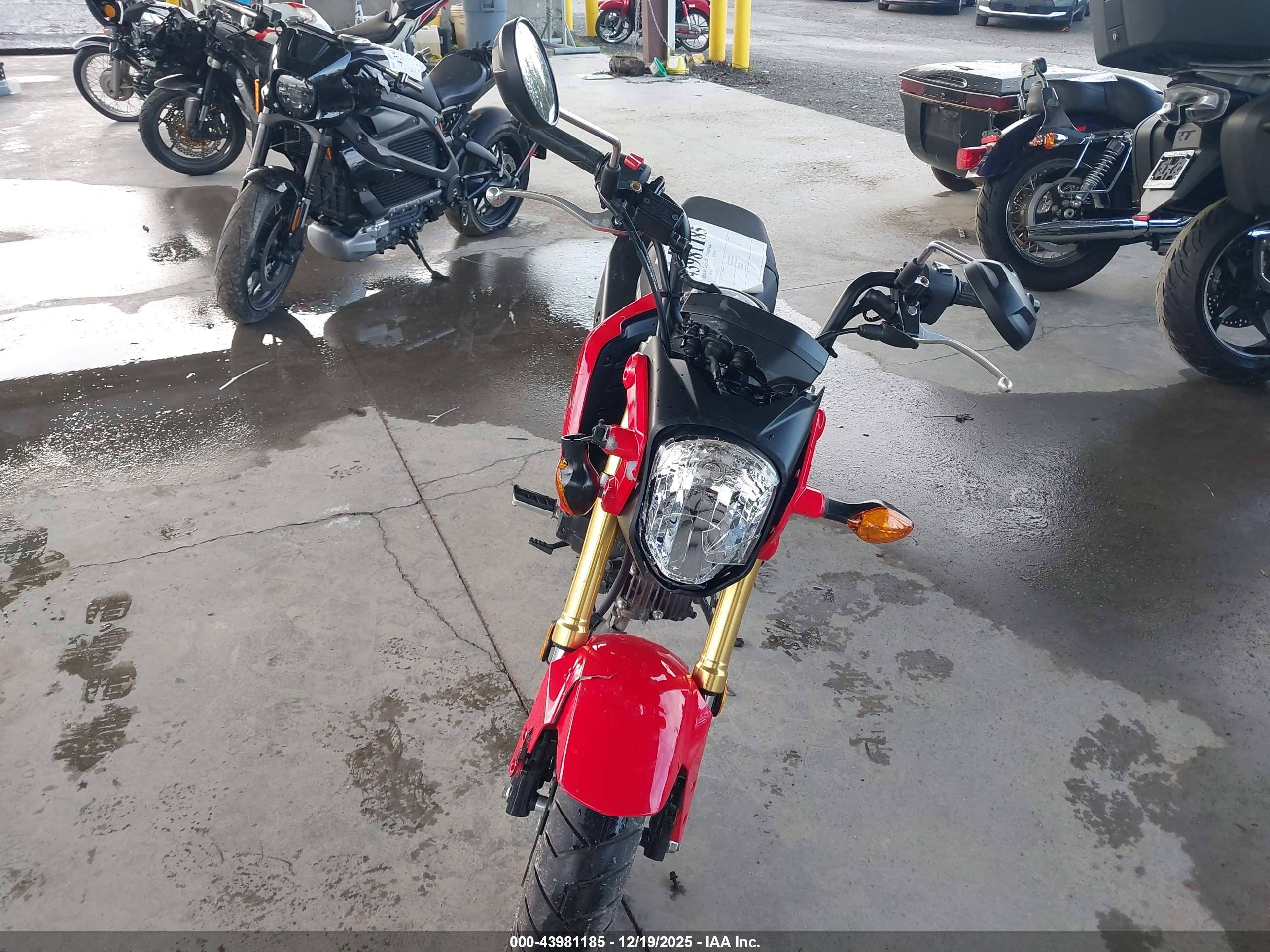 HONDA GROM image 5