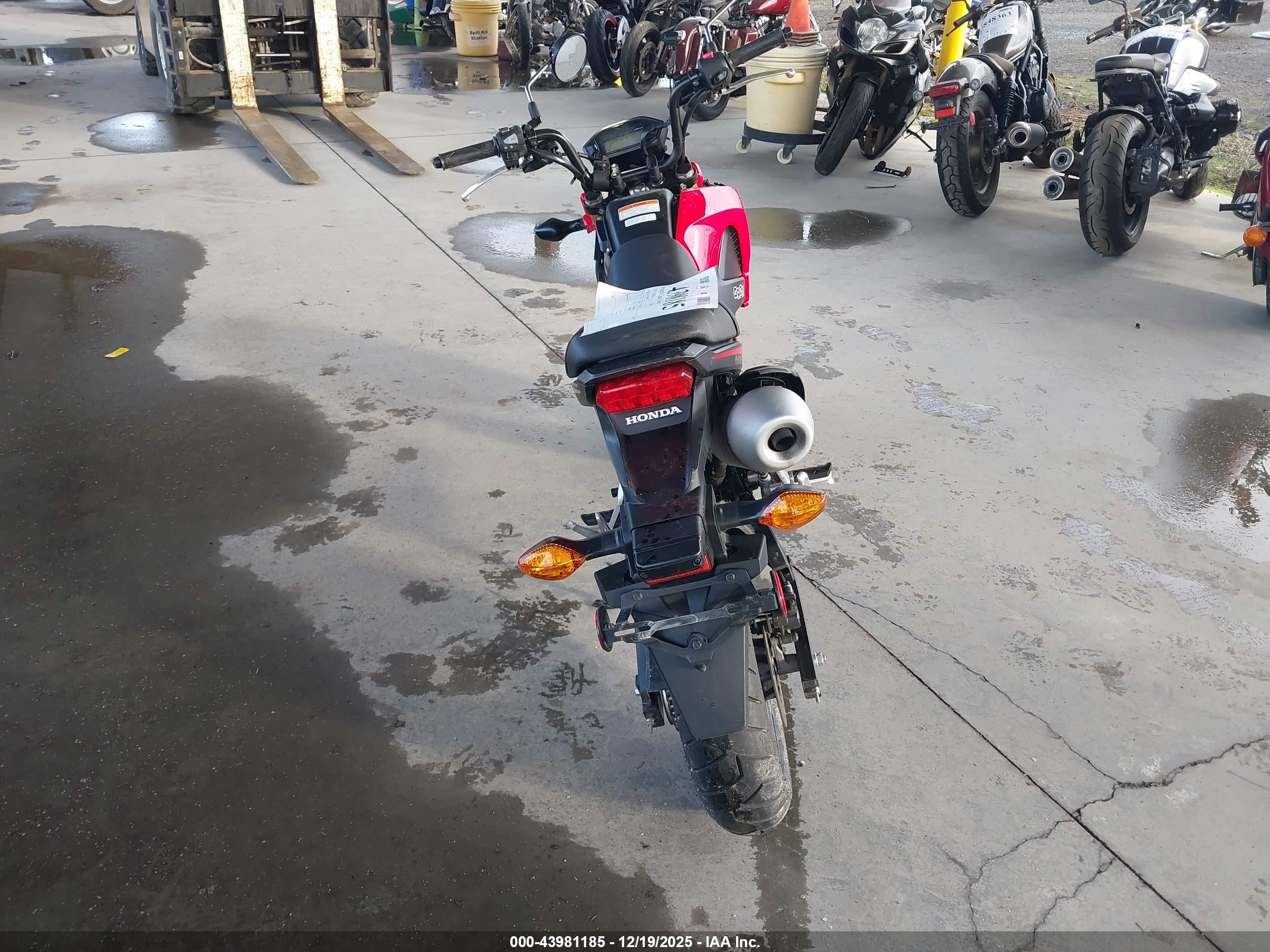 HONDA GROM image 6