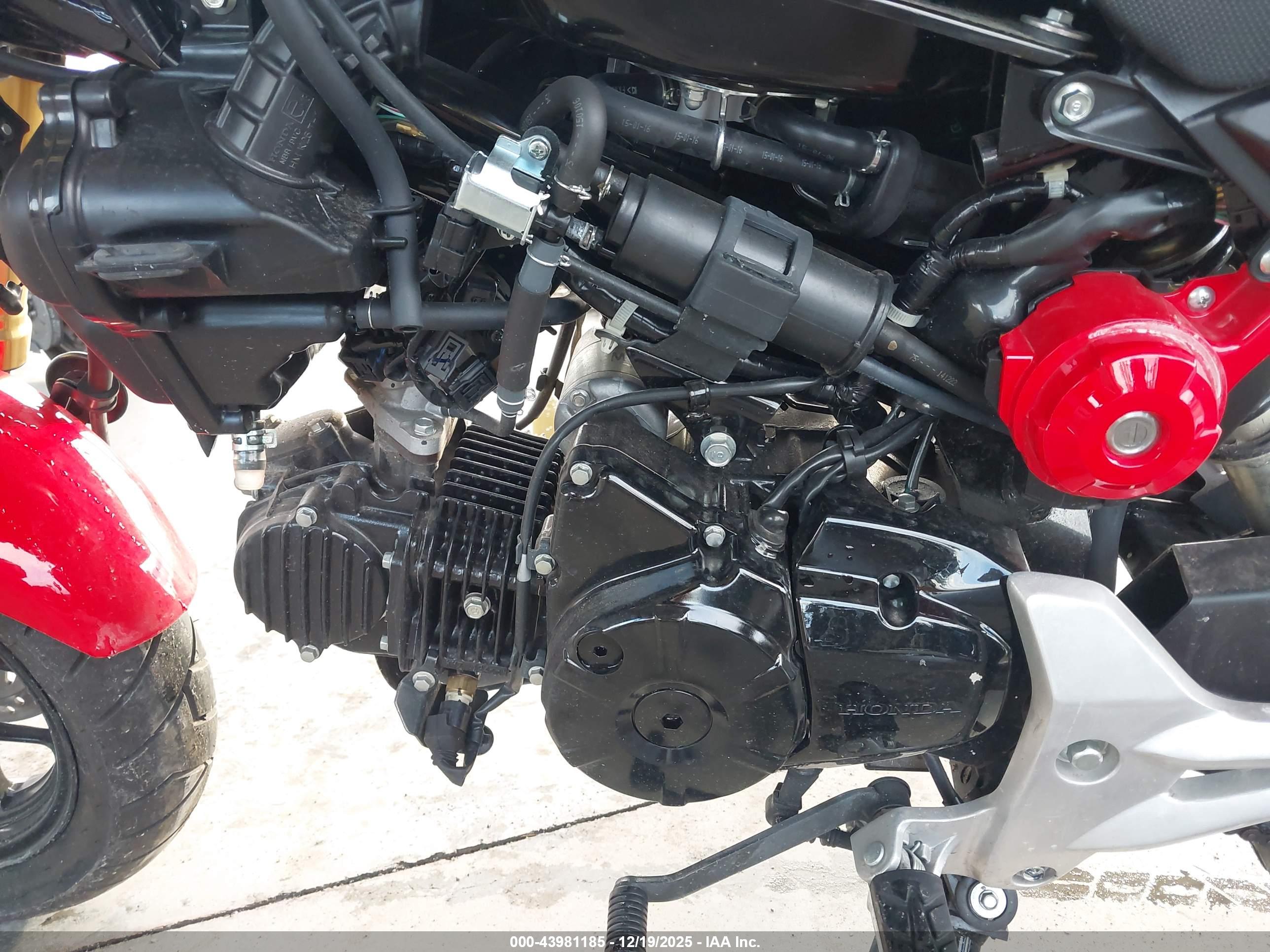 HONDA GROM image 9