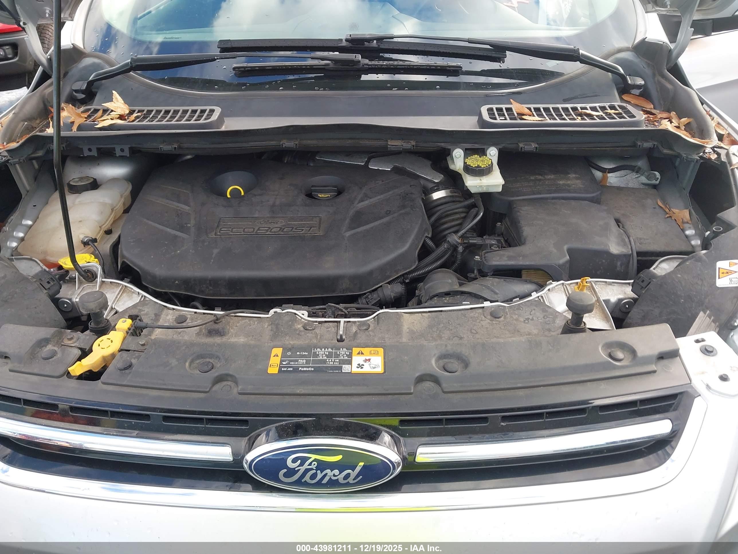 FORD ESCAPE image 10