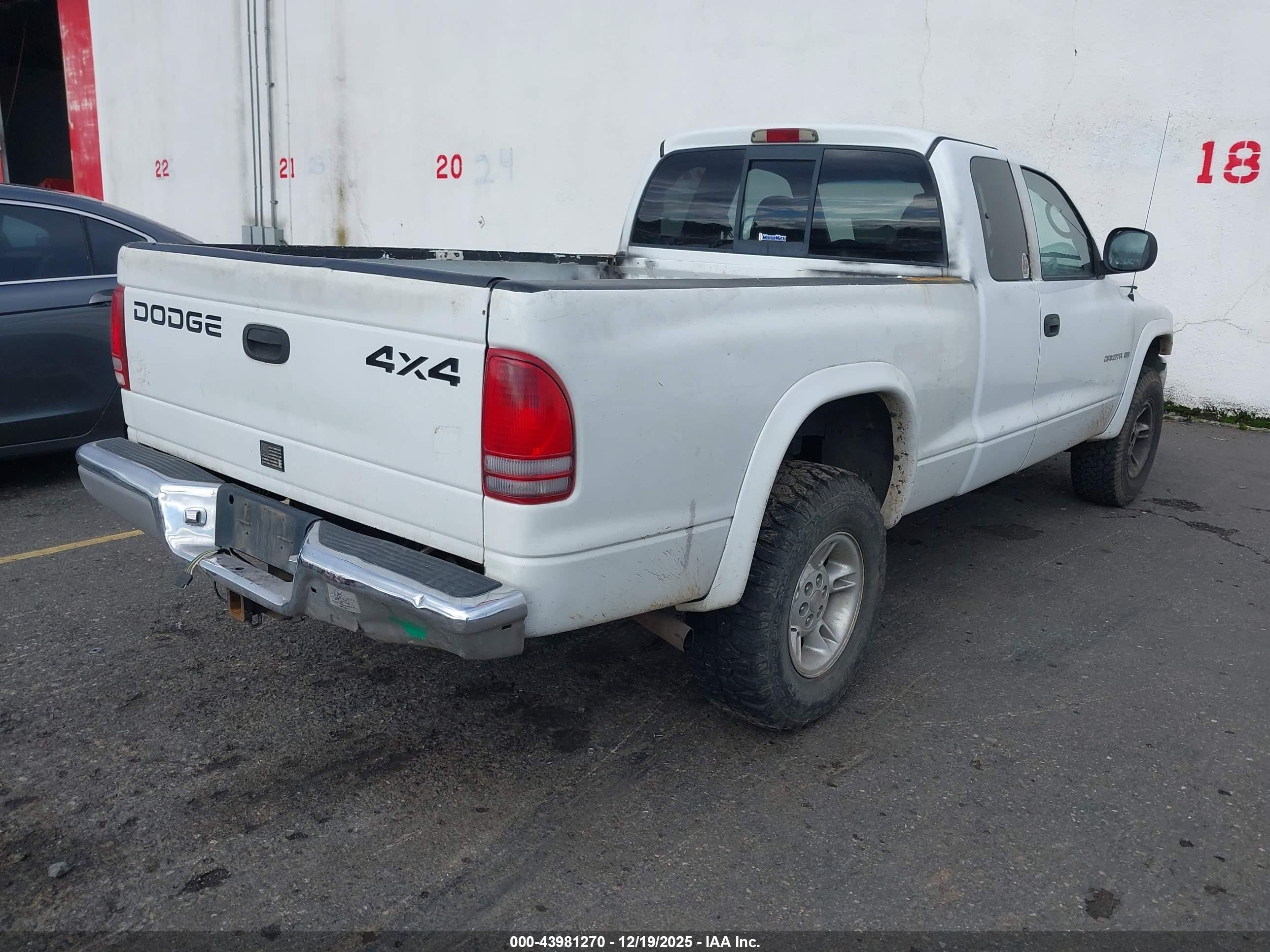 DODGE DAKOTA image 4