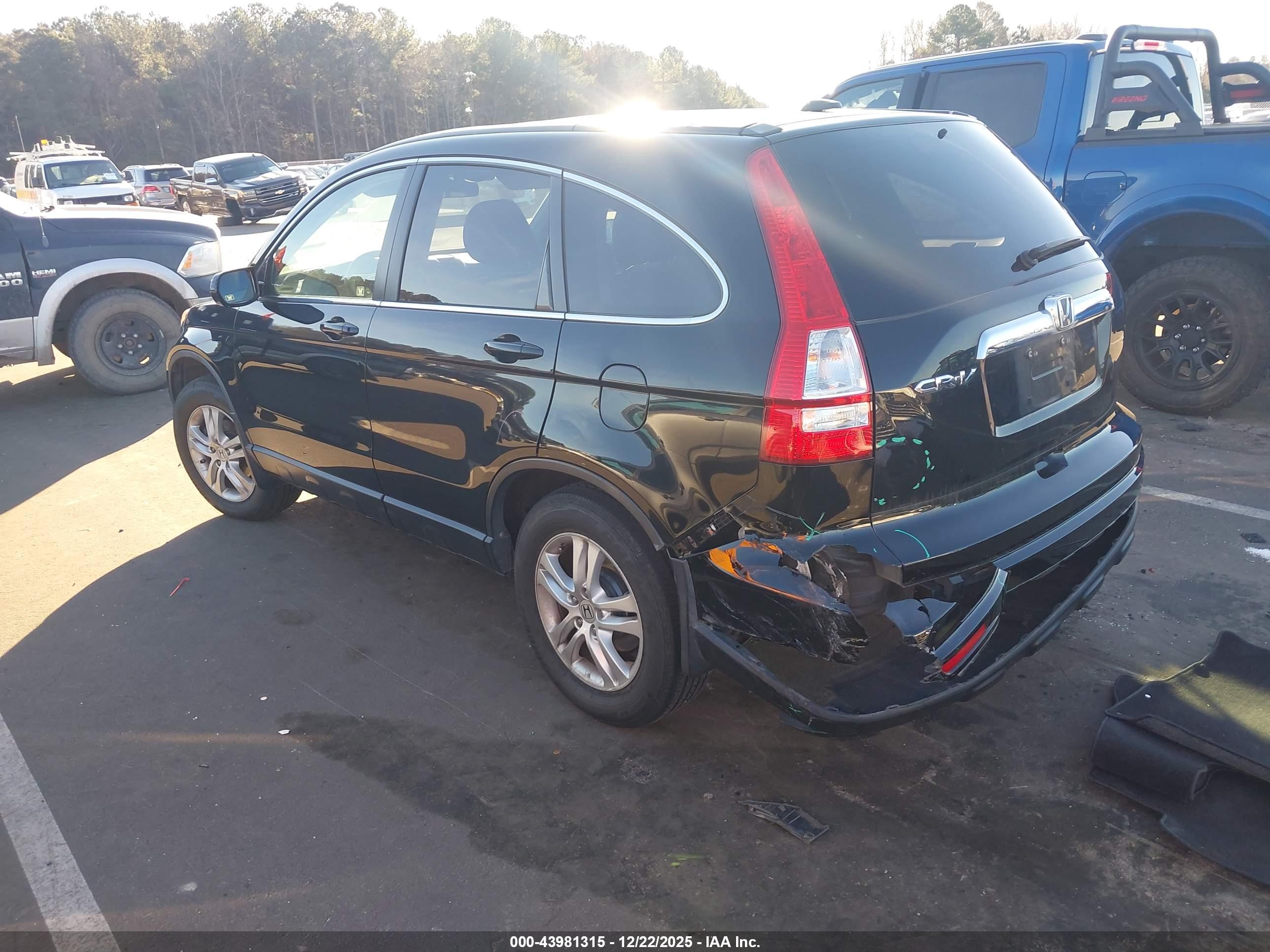 HONDA CR-V image 3