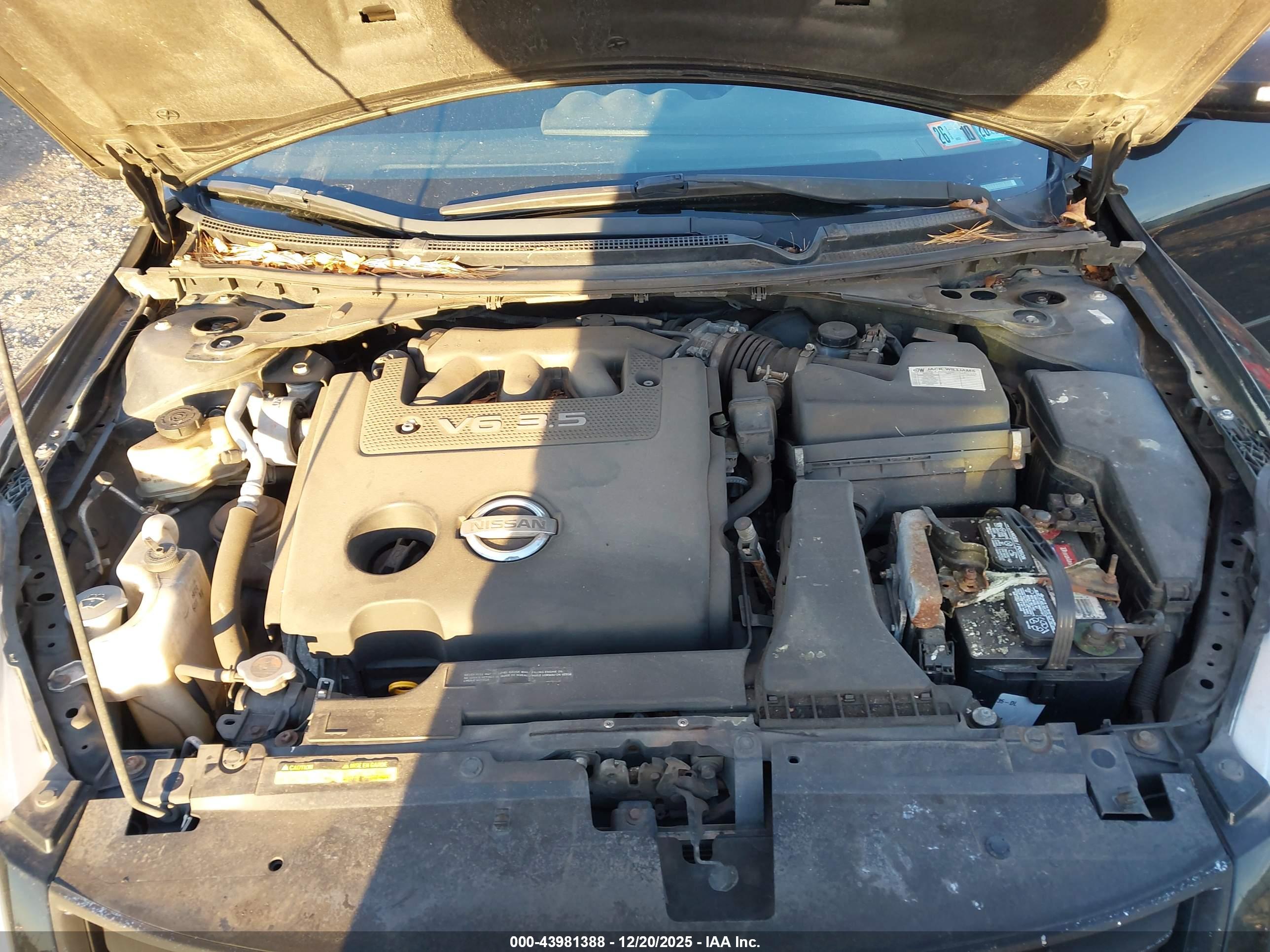 NISSAN ALTIMA image 10