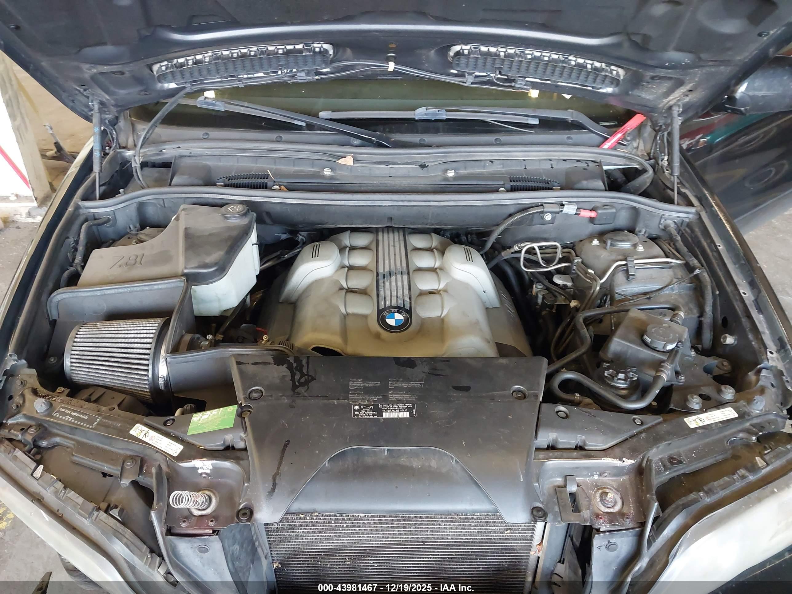 BMW X5 image 10