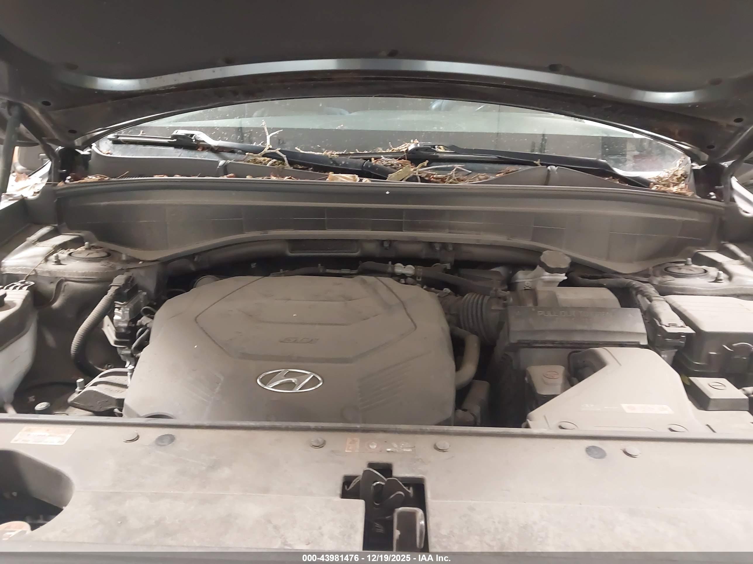 HYUNDAI PALISADE image 10