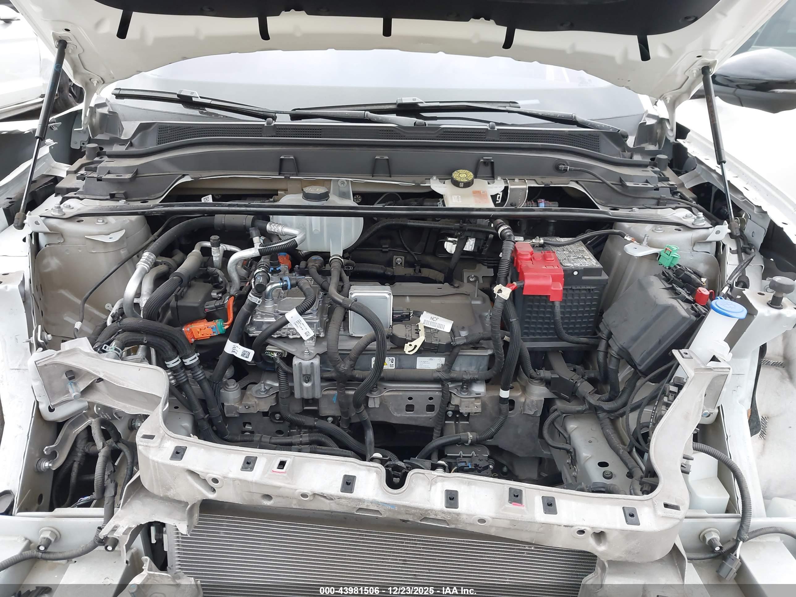 FORD MUSTANG image 10