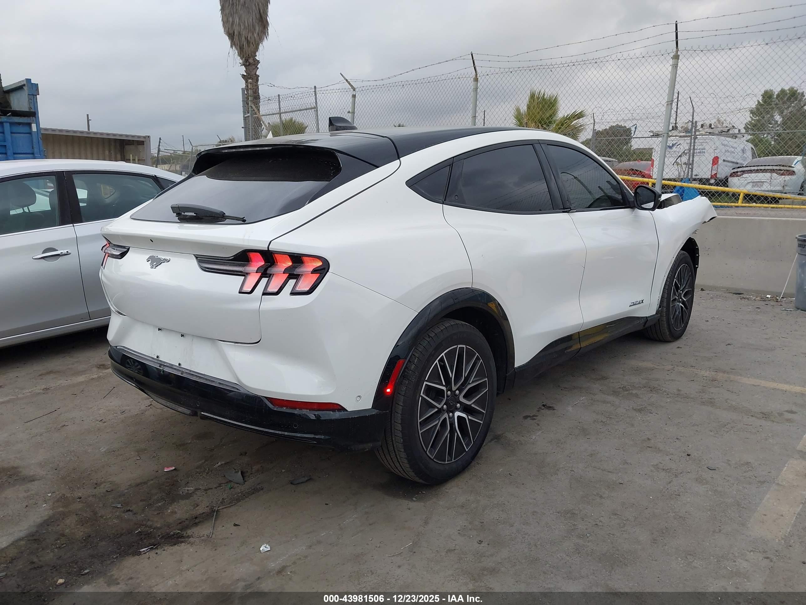 FORD MUSTANG image 4