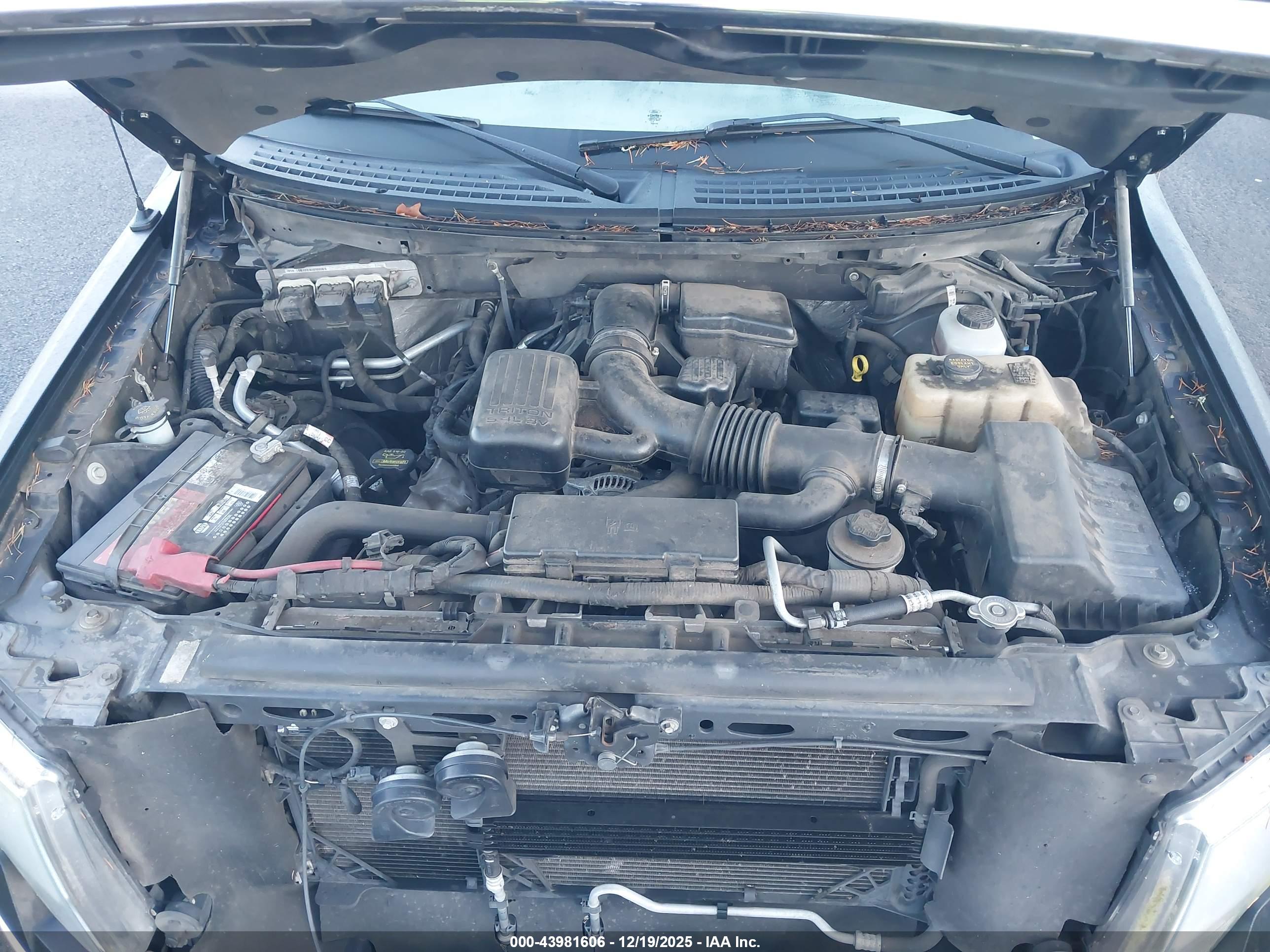 FORD F-150 image 10