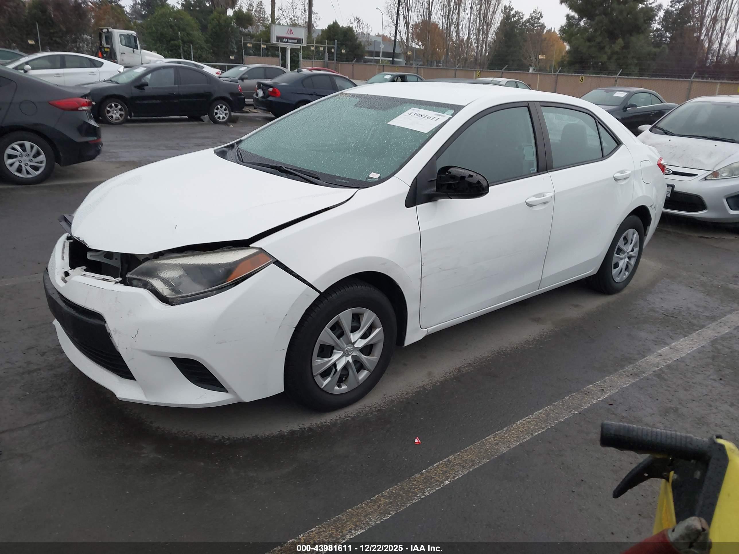 TOYOTA COROLLA image 2