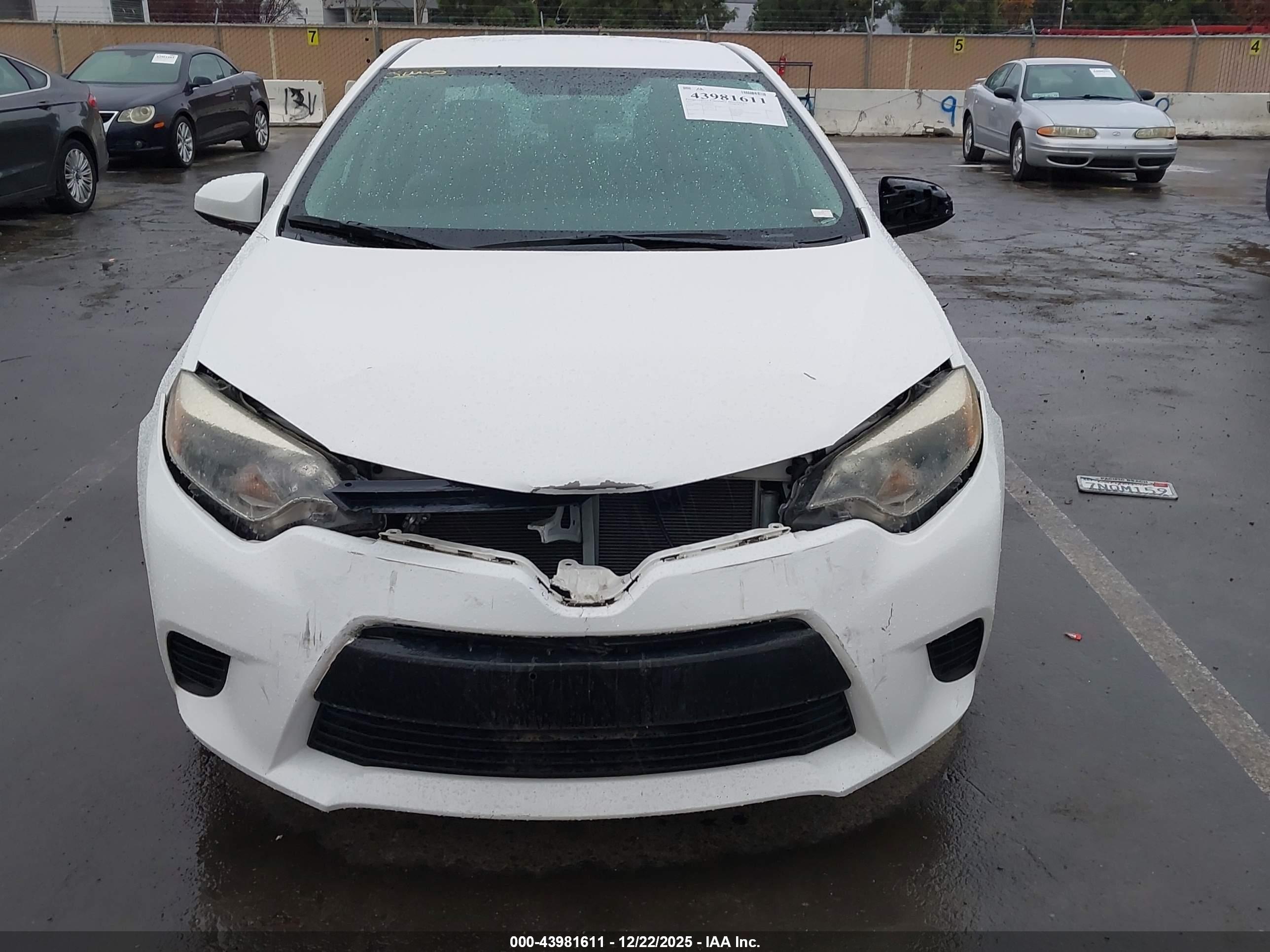 TOYOTA COROLLA image 6