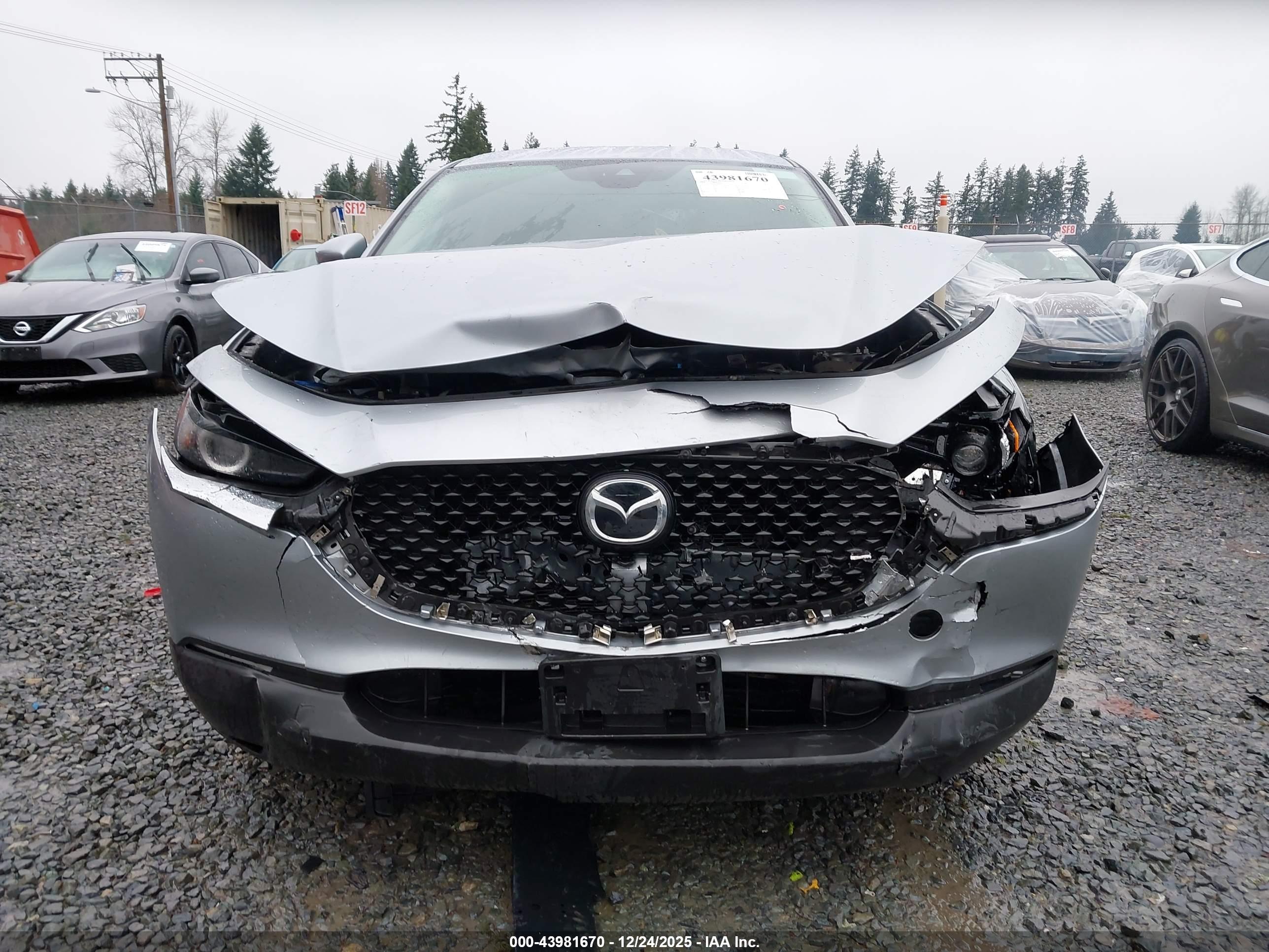 MAZDA CX-30 image 6