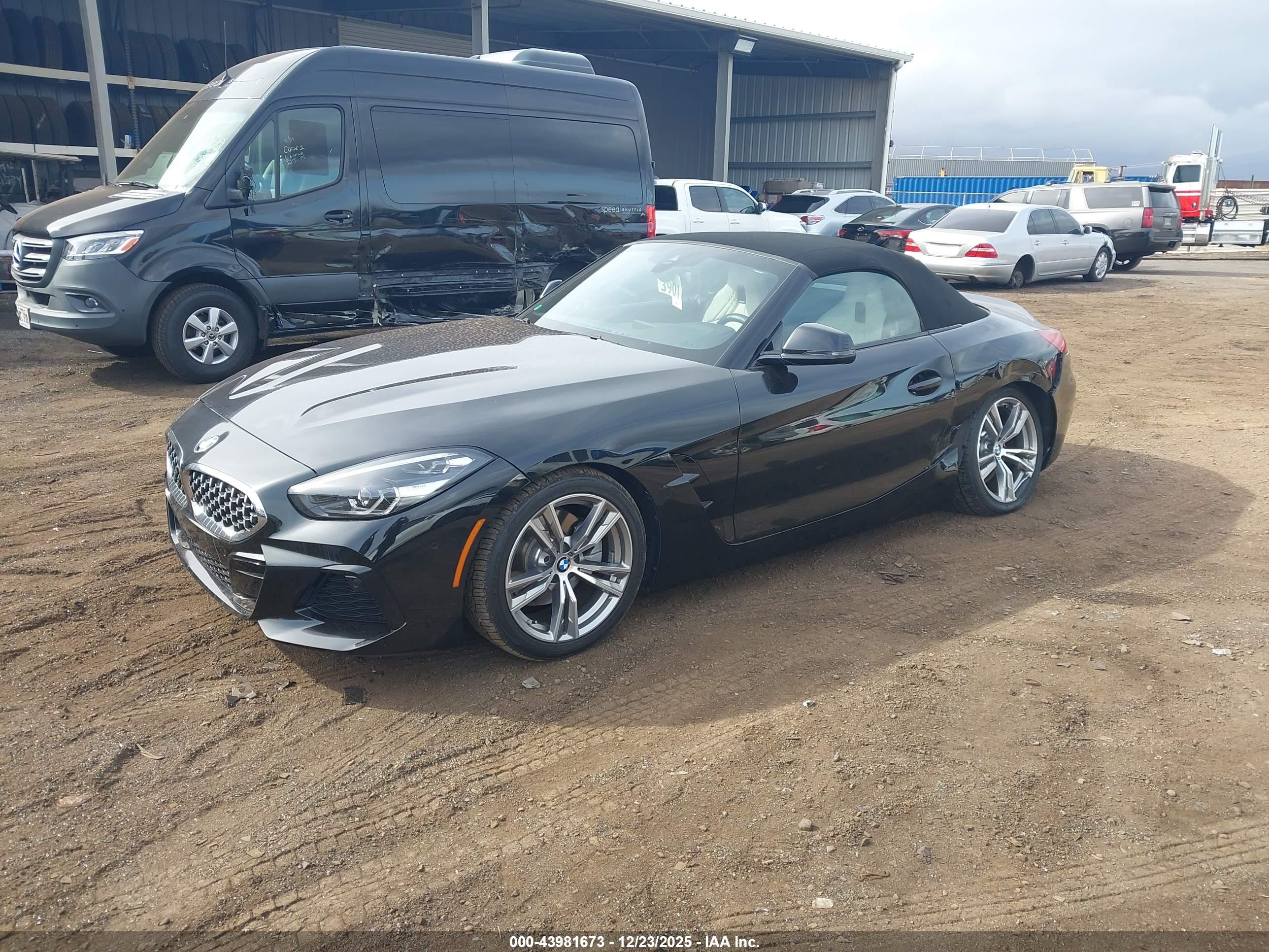 BMW Z4 image 2