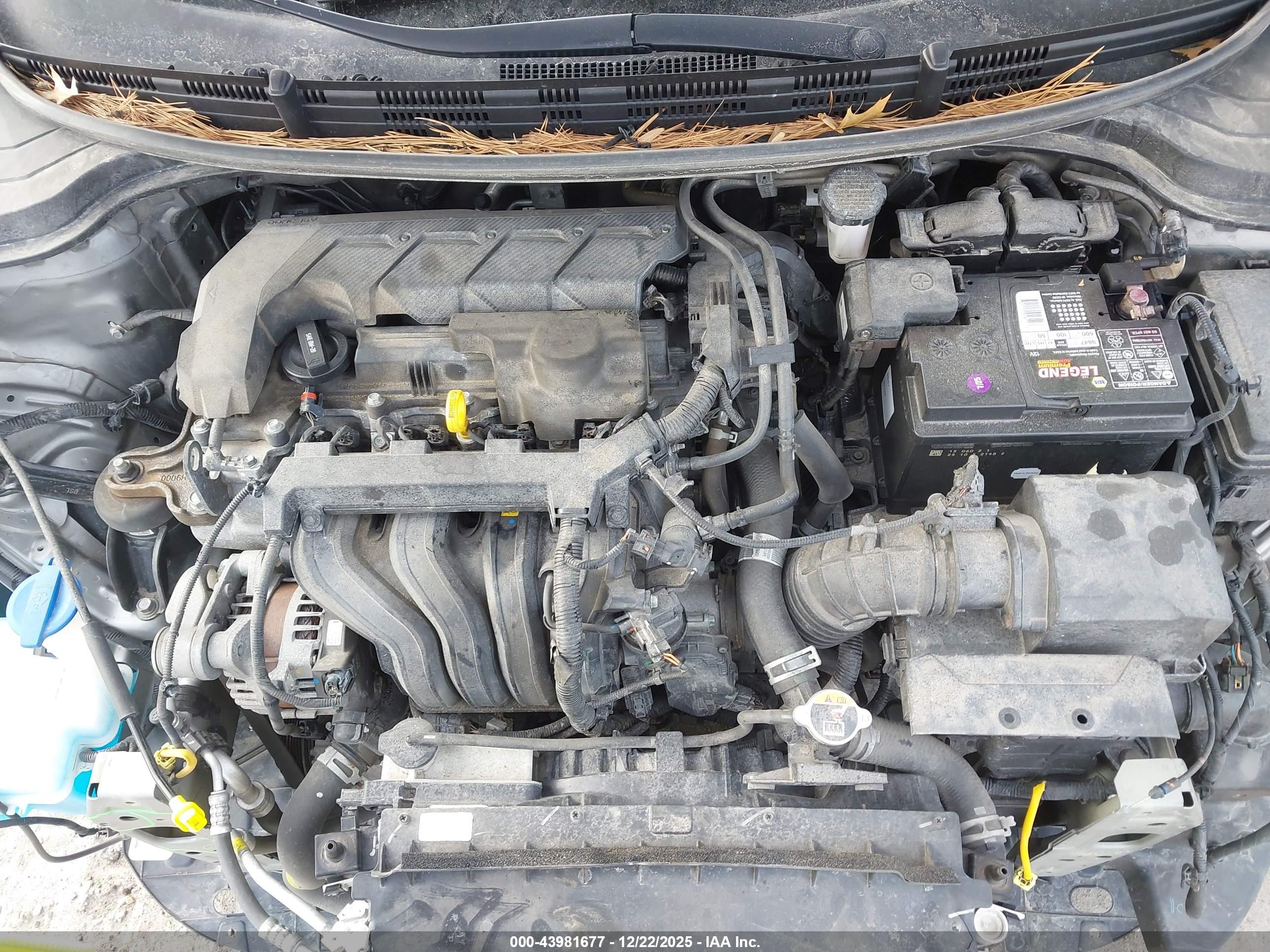KIA RIO image 10