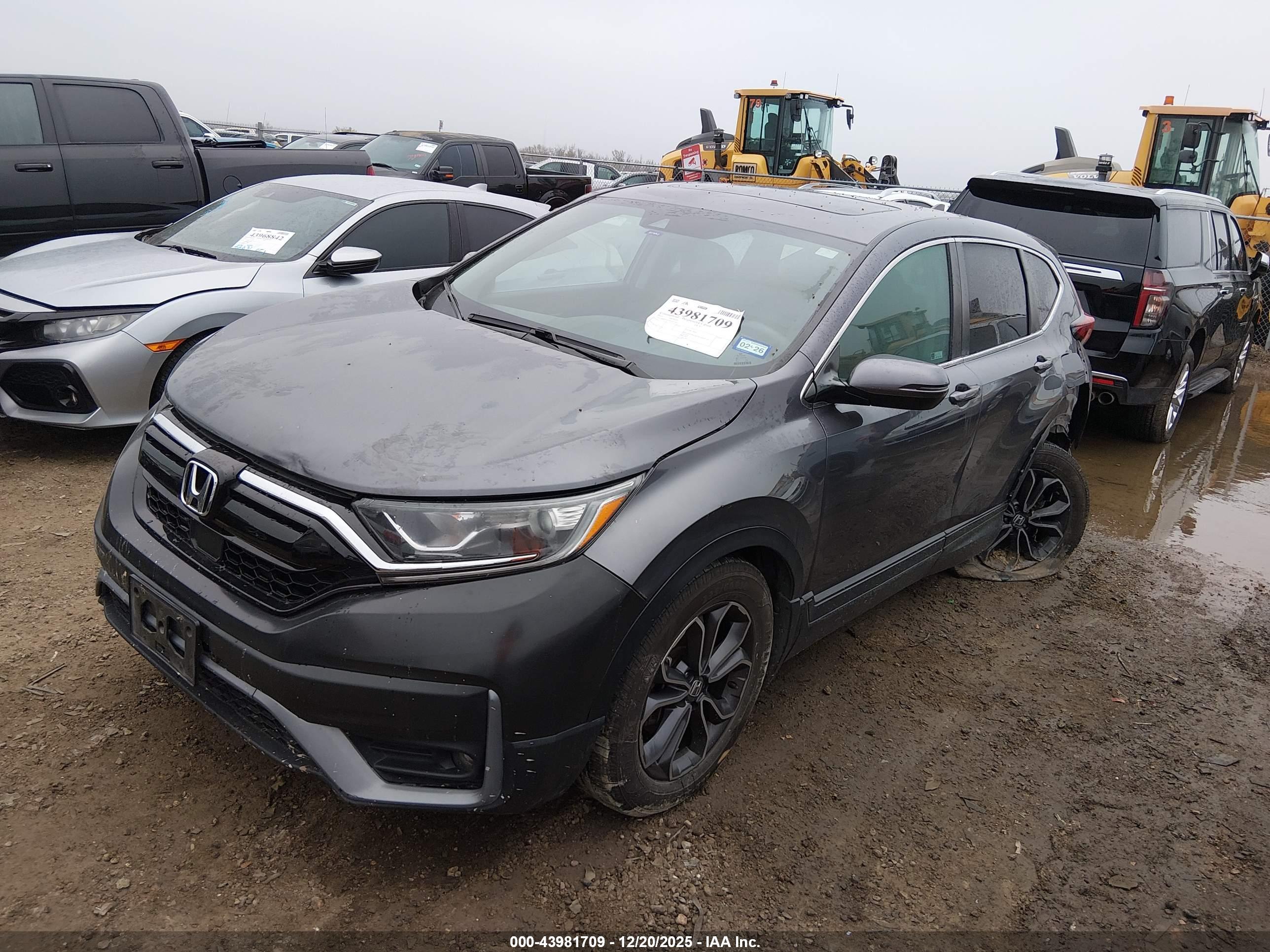 HONDA CR-V image 2