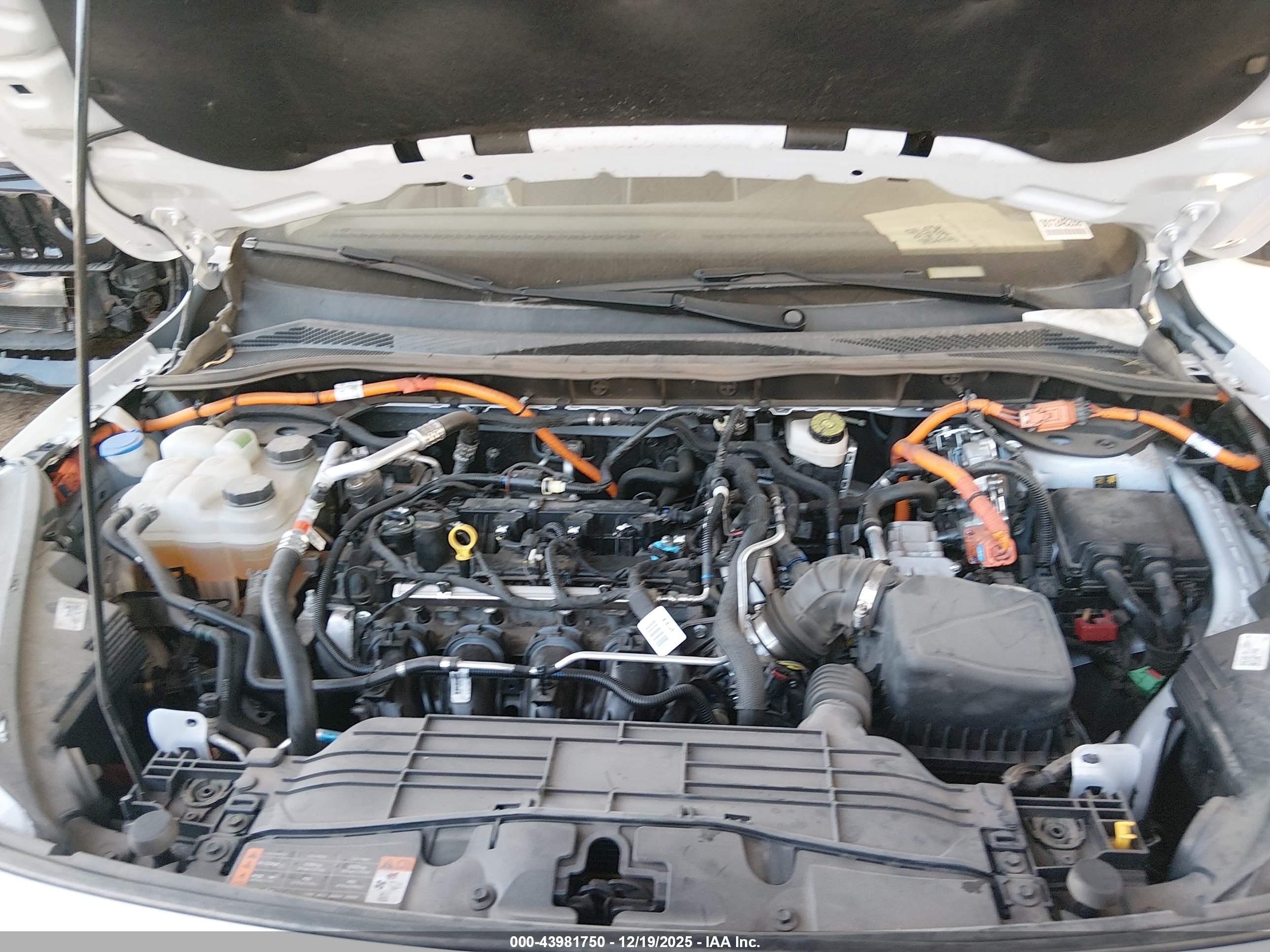 FORD ESCAPE image 10