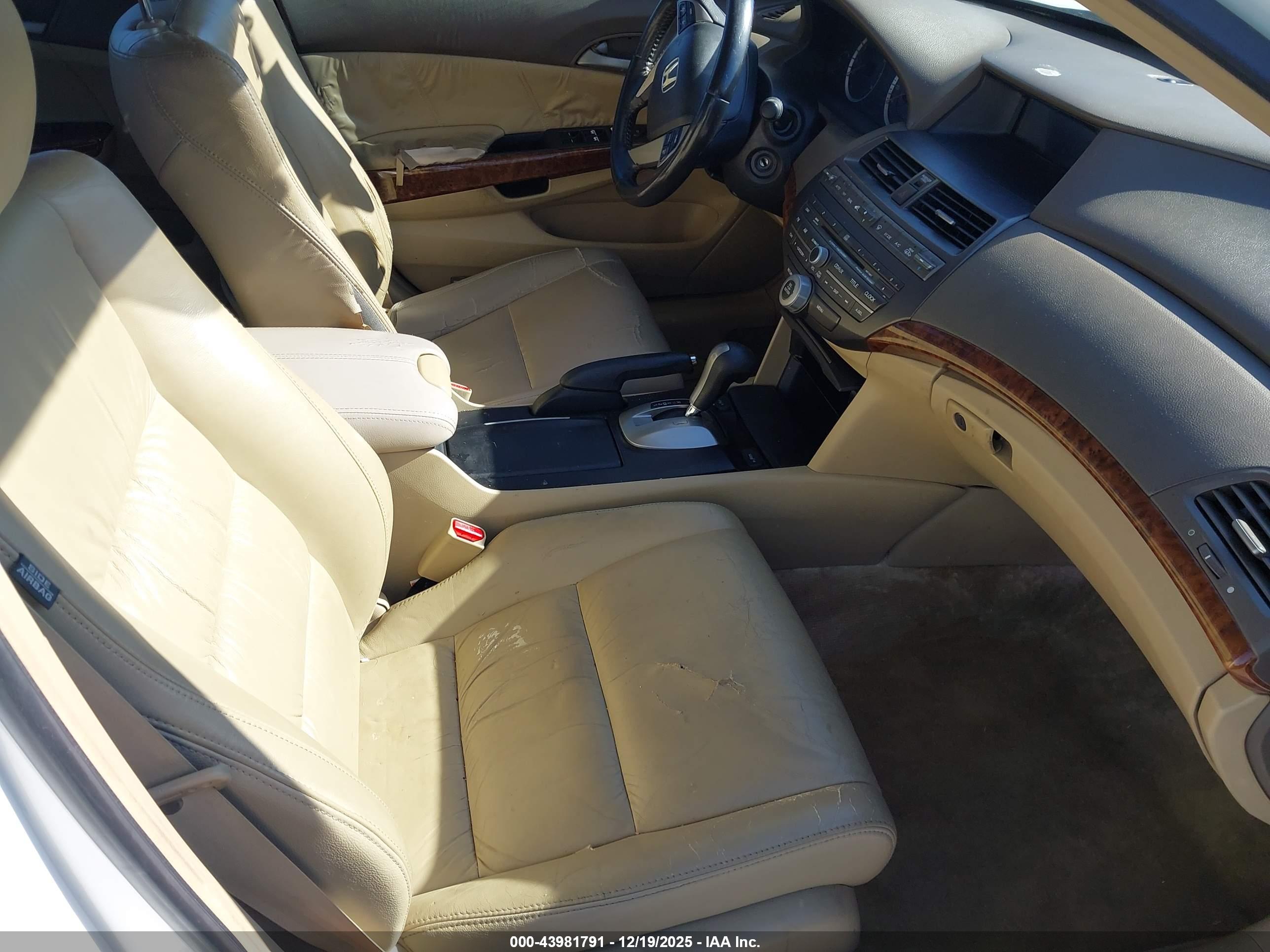 HONDA ACCORD image 5